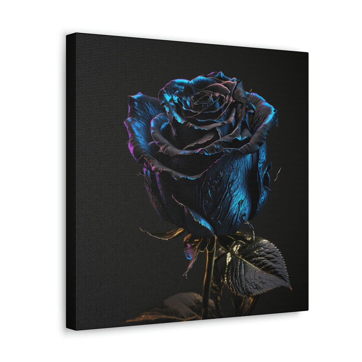 Black Blue Rose 1