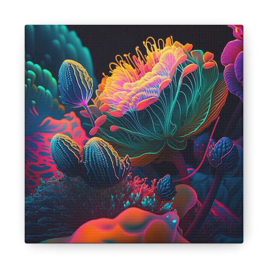 Canvas Gallery Wraps Macro Sea Life 1