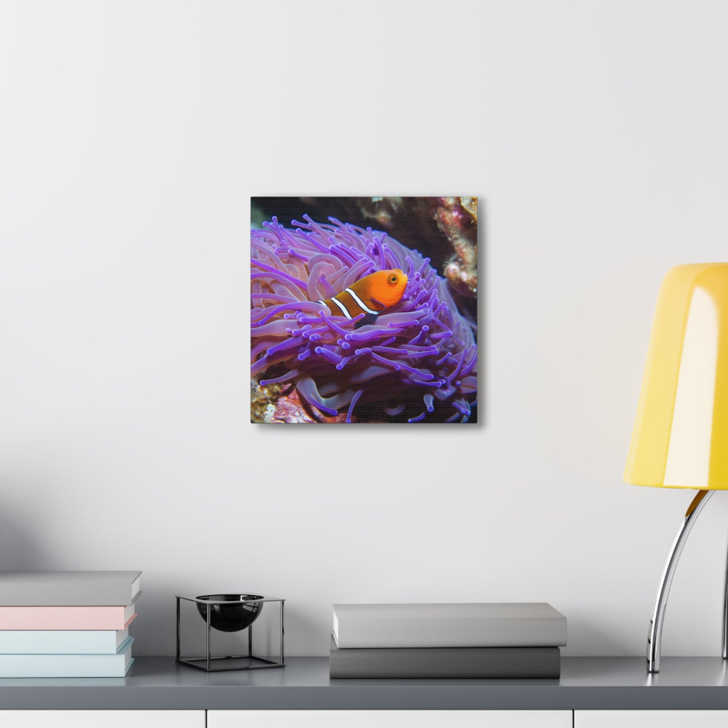 Canvas Gallery Wraps Anemone Clown 3