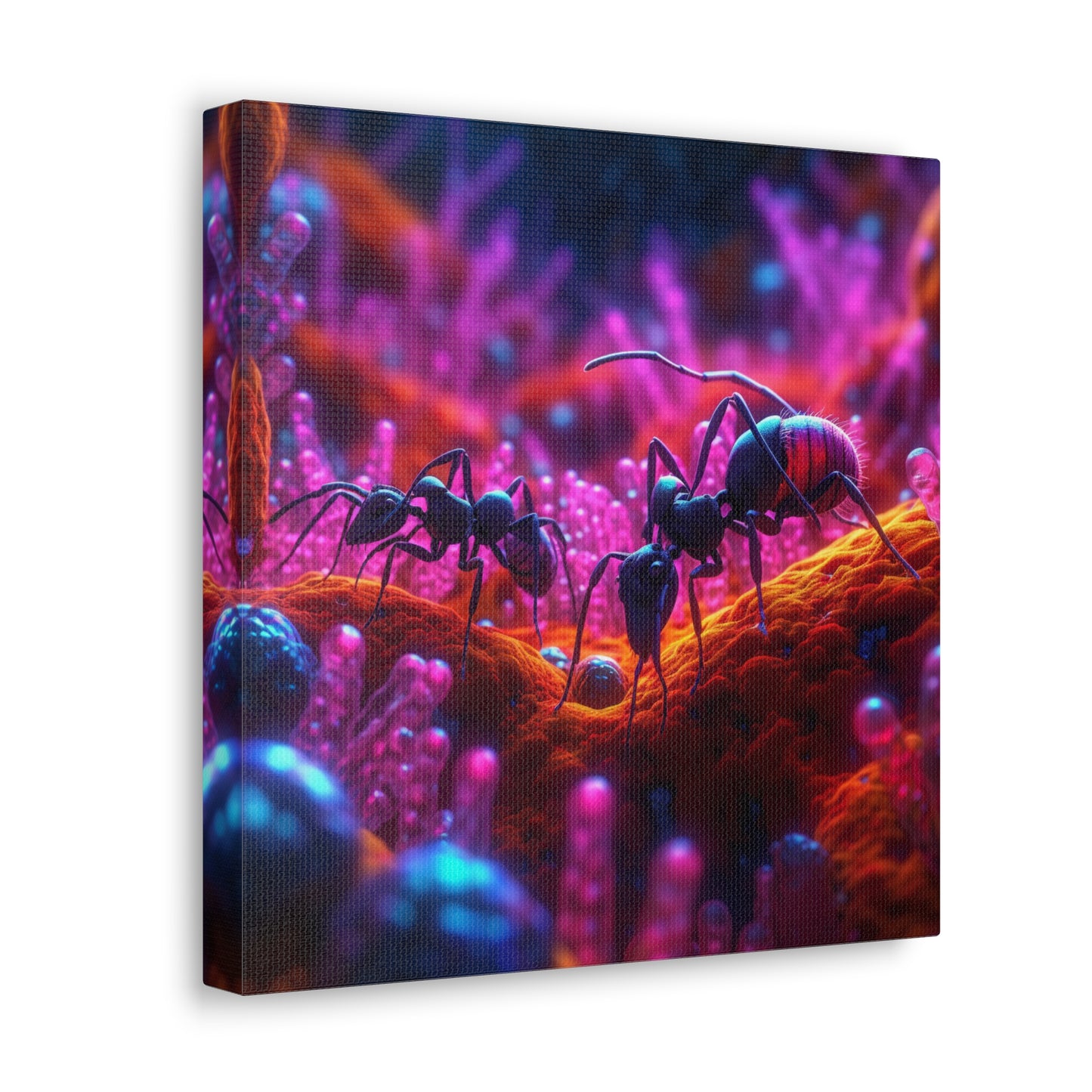 Canvas Gallery Wraps Ants Home 4