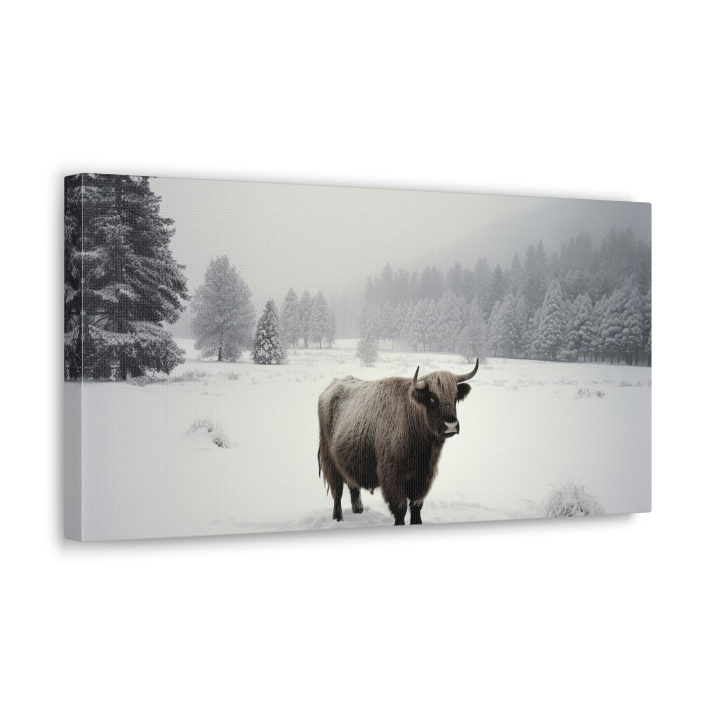 Canvas Gallery Wraps Cow Snow 4