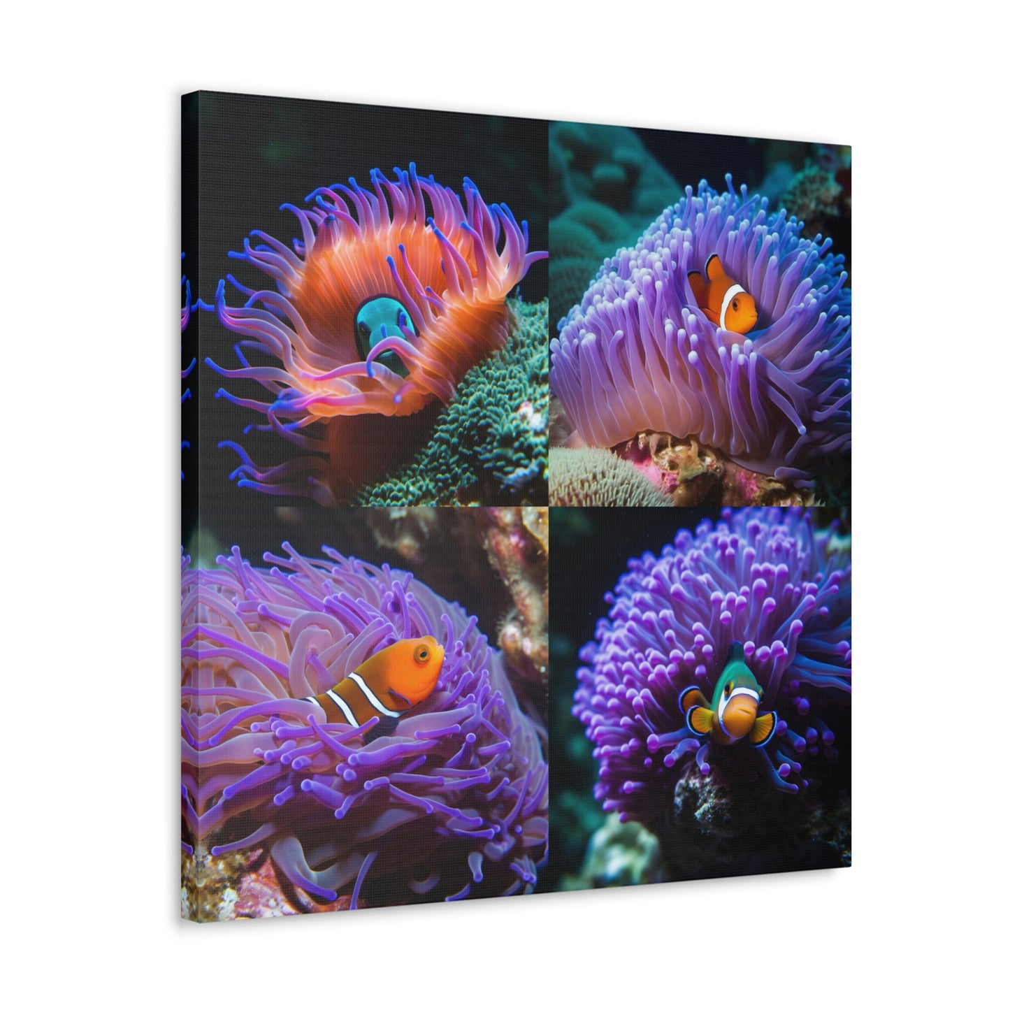 Canvas Gallery Wraps Anemone Clown 4 Pack