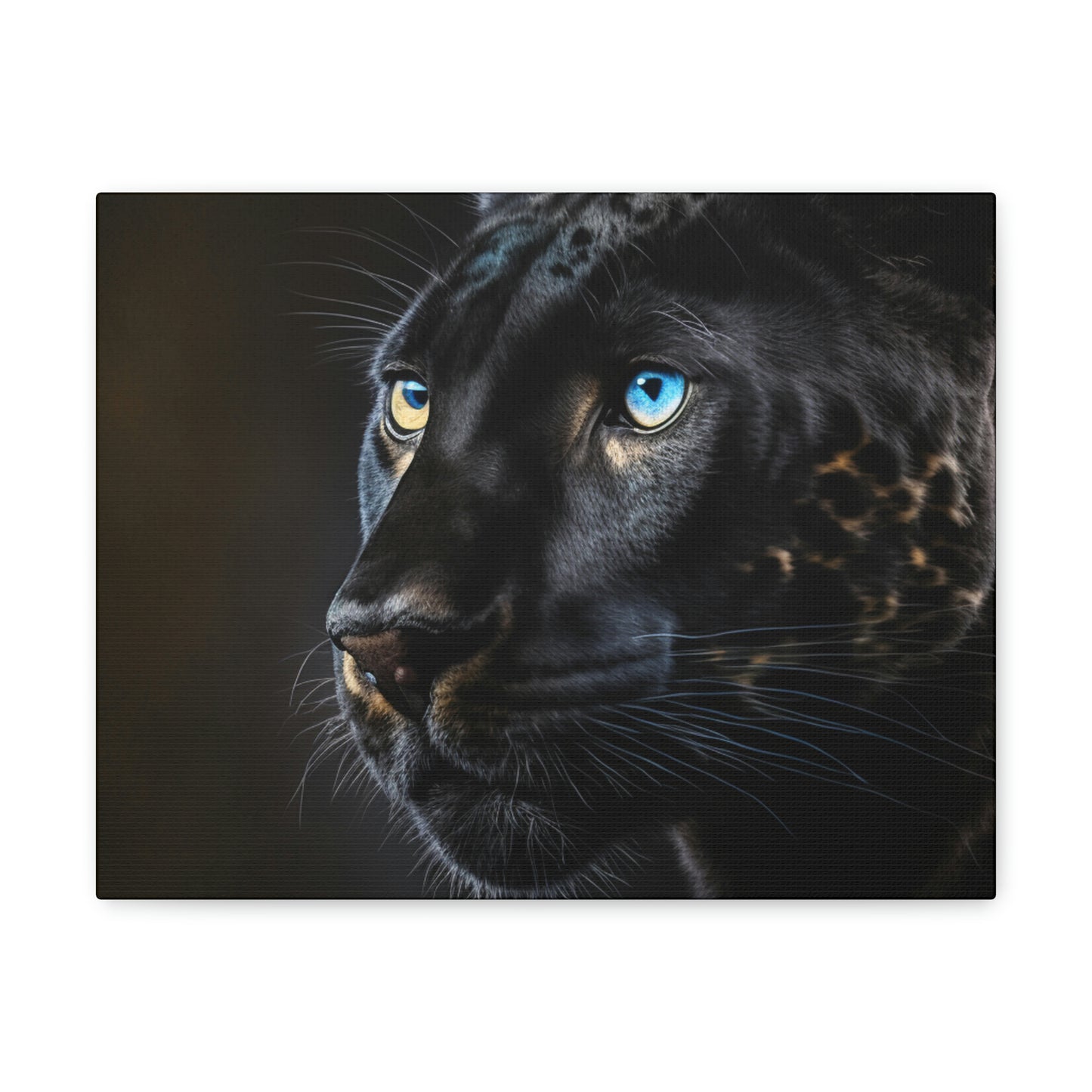 Black Panther Blue eye 5