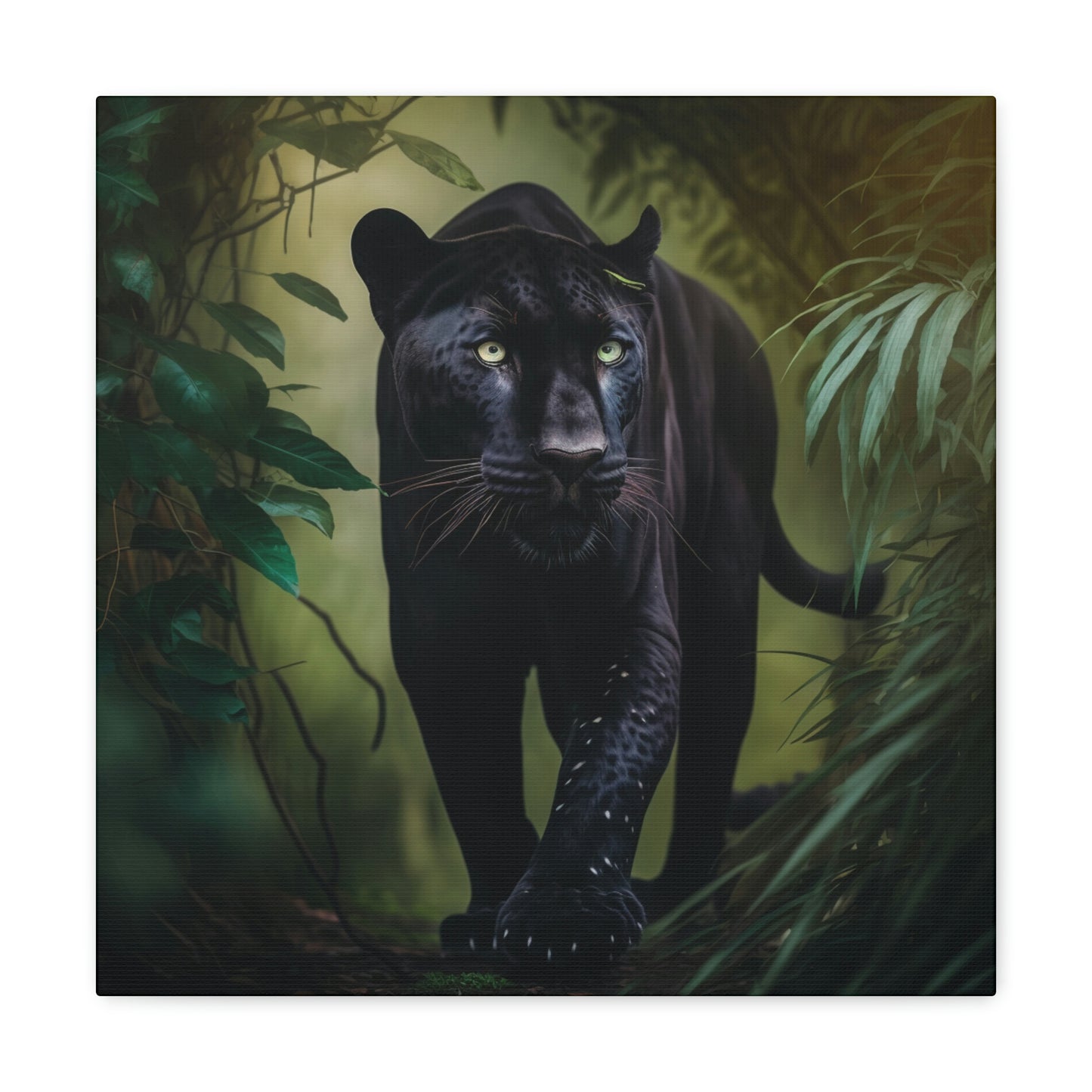 Black Panther in the Jungle 5