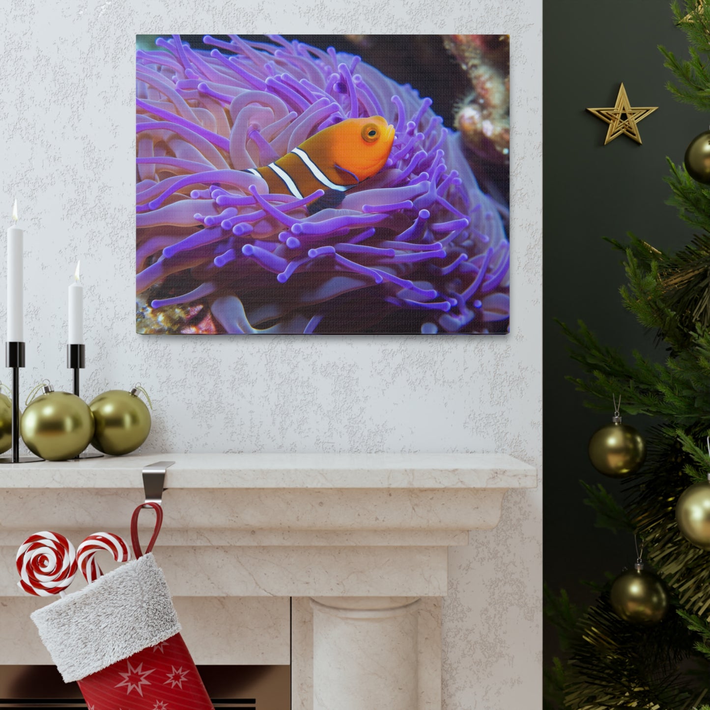 Canvas Gallery Wraps Anemone Clown 3