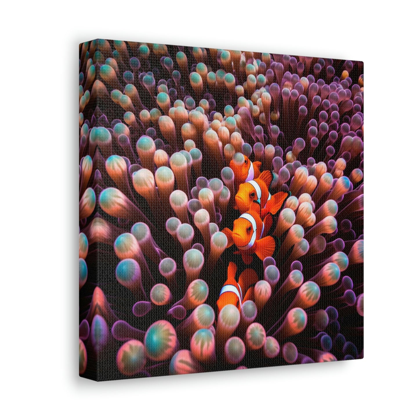 Canvas Gallery Wraps Clown Fish 3