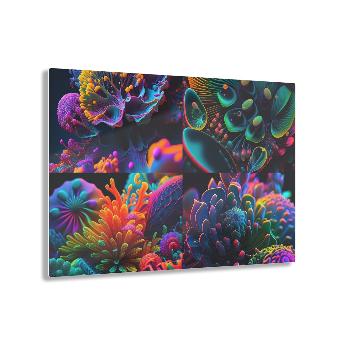 Acrylic Prints Ocean Life Macro 5