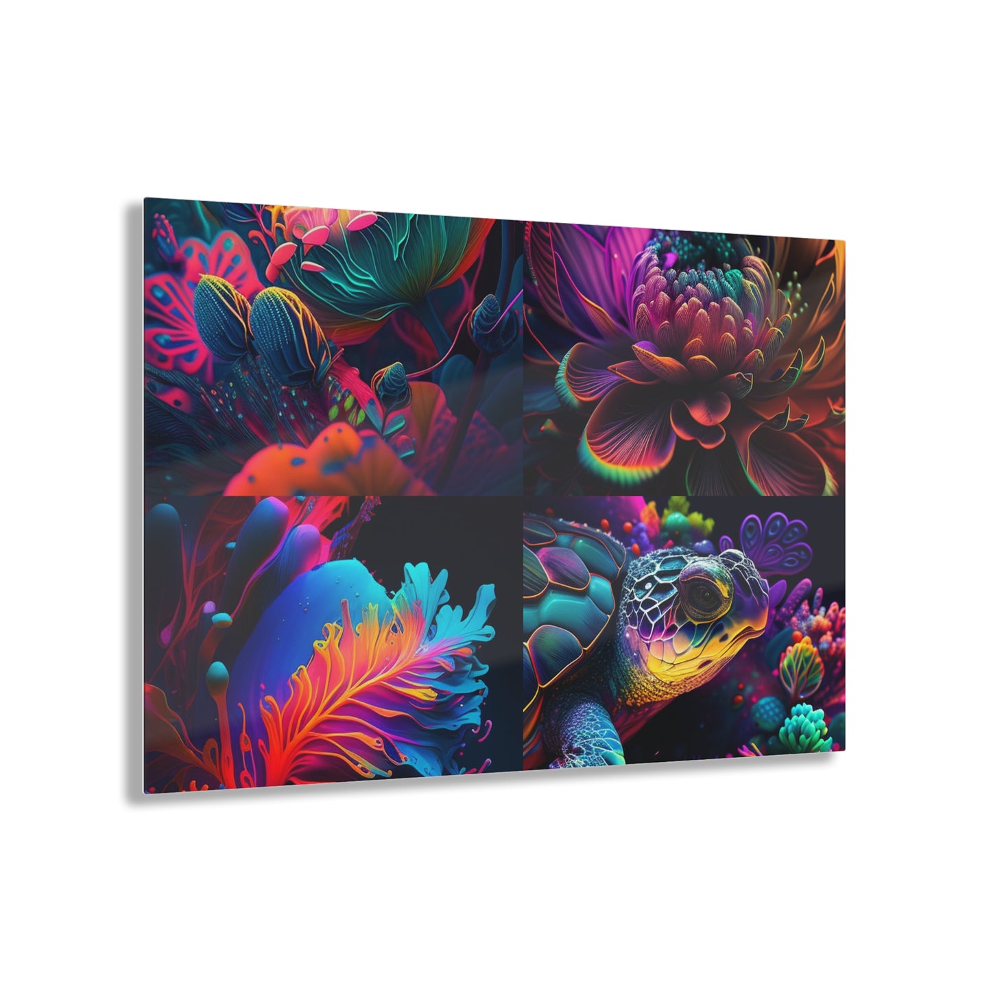 Acrylic Prints Macro Sea Life