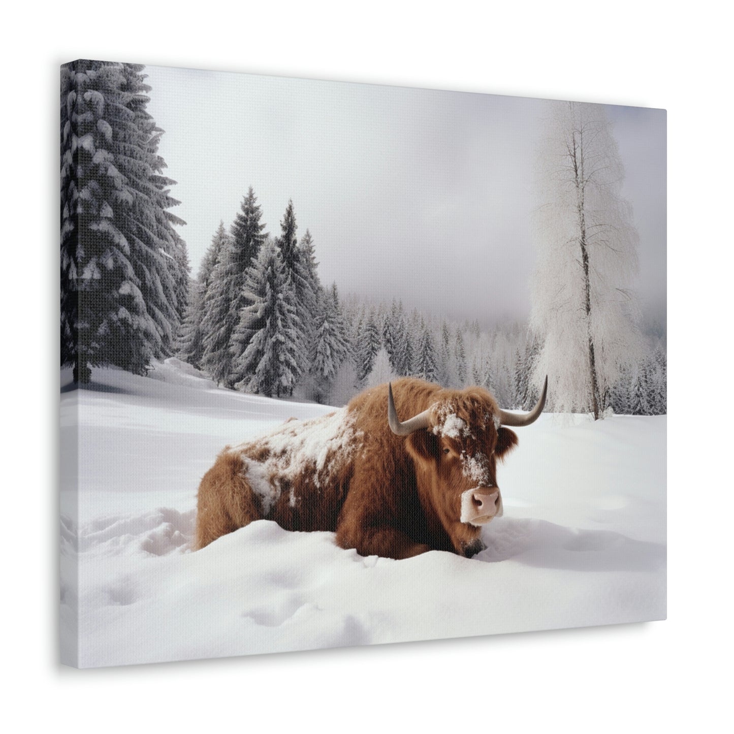 Canvas Gallery Wraps Cow Snow 2