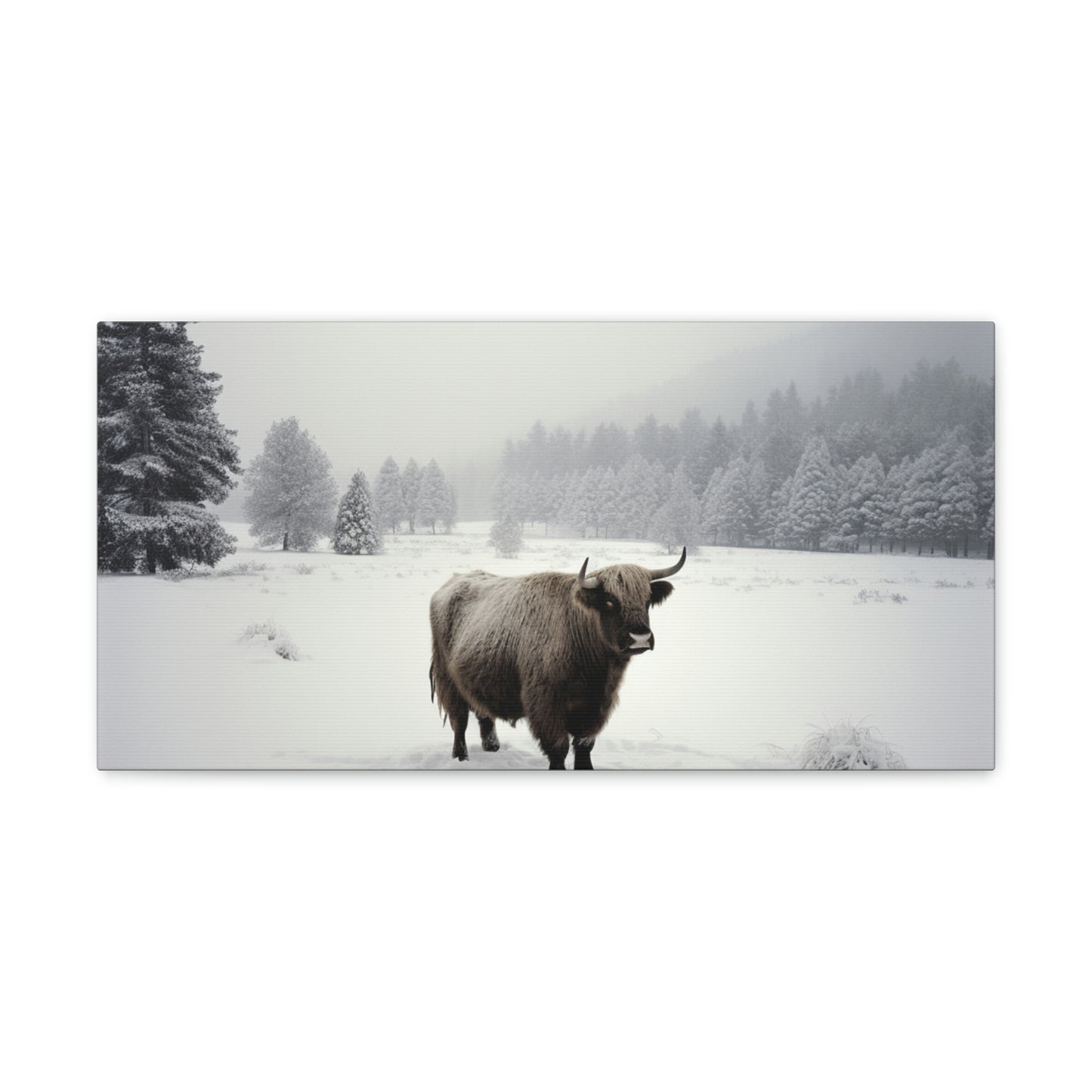 Canvas Gallery Wraps Cow Snow 4