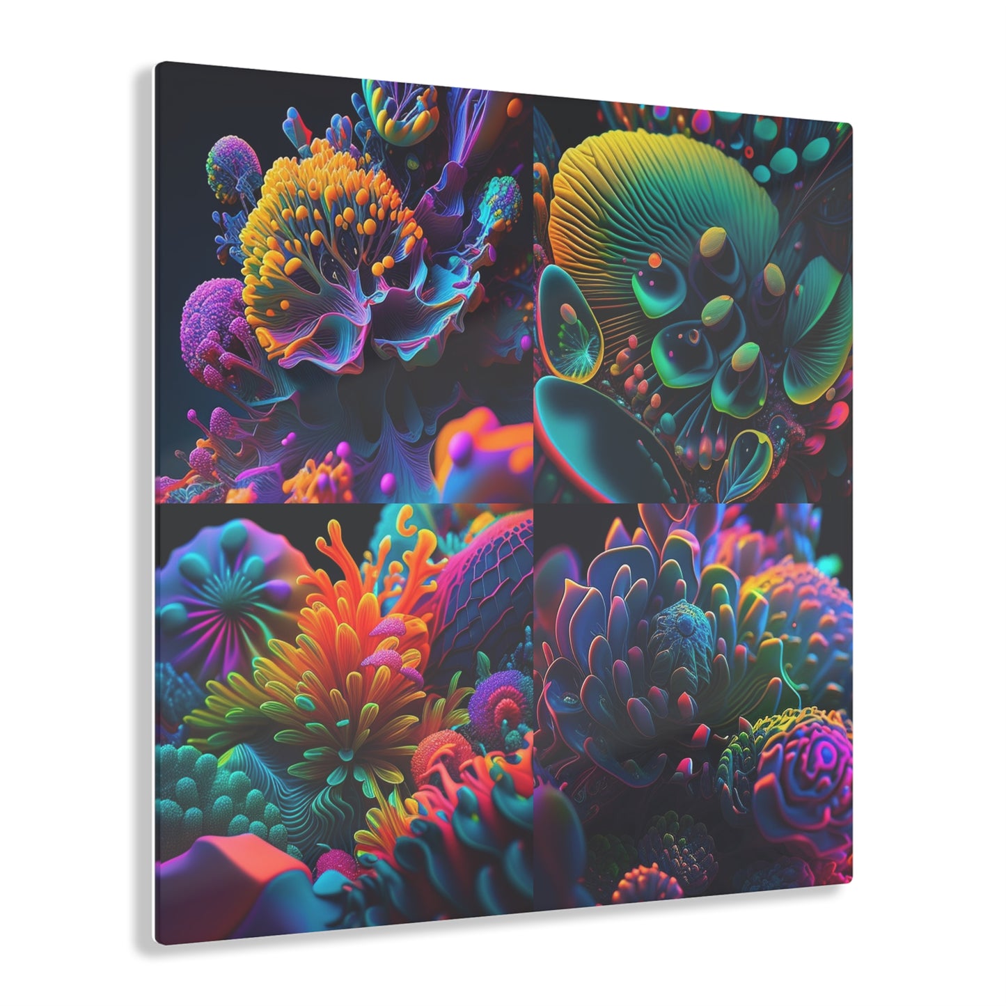 Acrylic Prints Ocean Life Macro 5