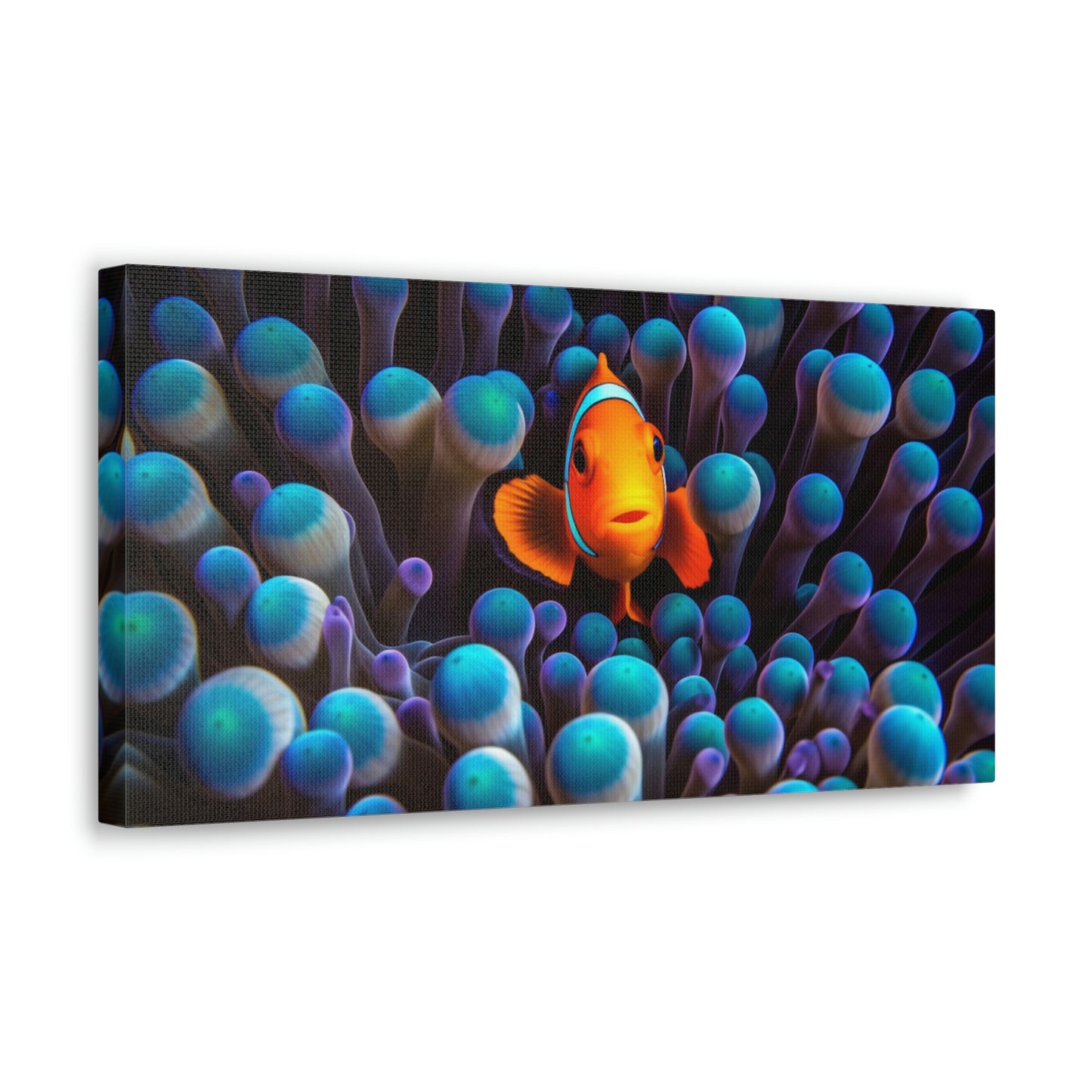 Canvas Gallery Wraps Clown Fish 1