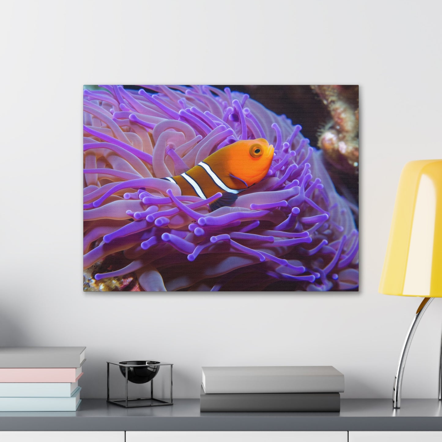 Canvas Gallery Wraps Anemone Clown 3