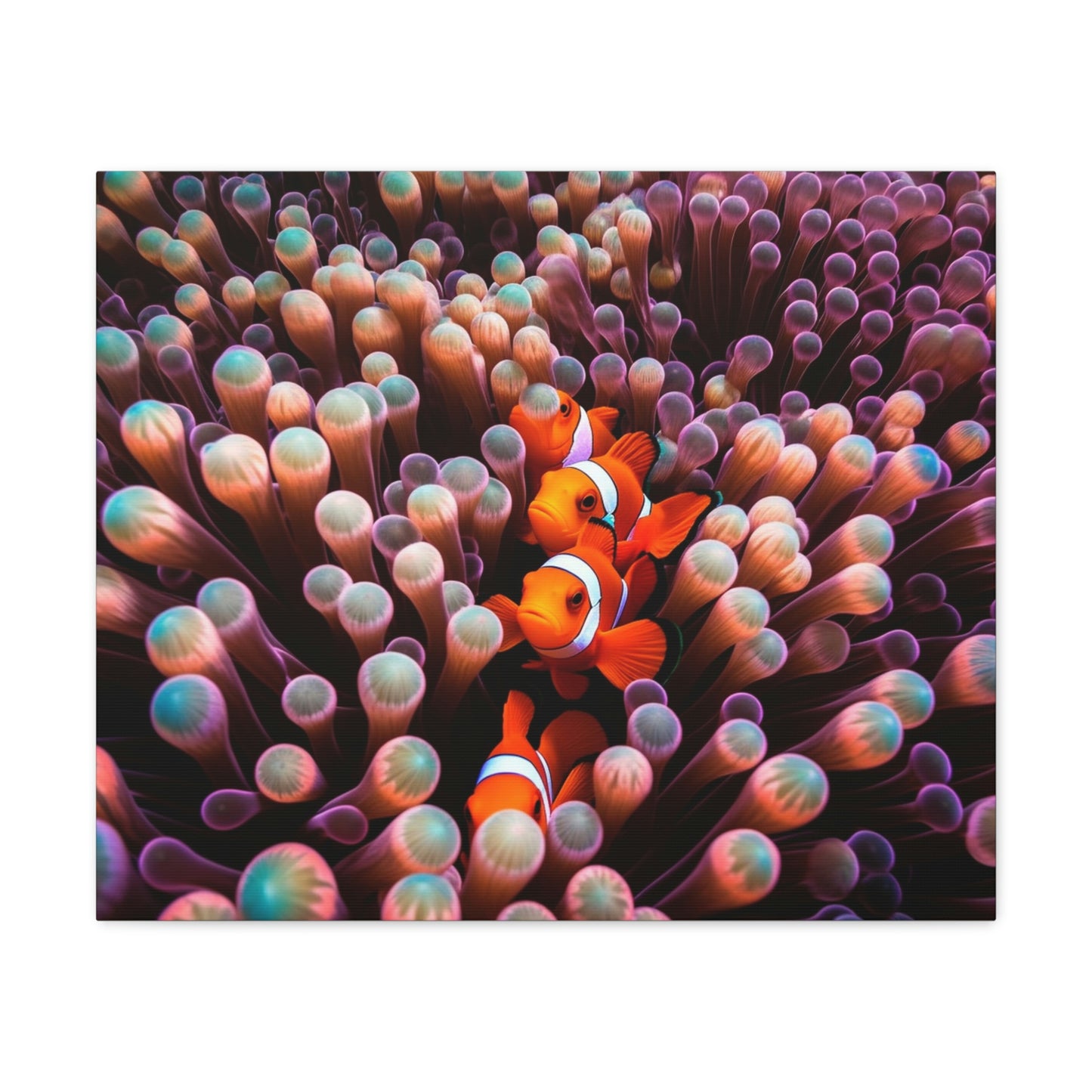 Canvas Gallery Wraps Clown Fish 3