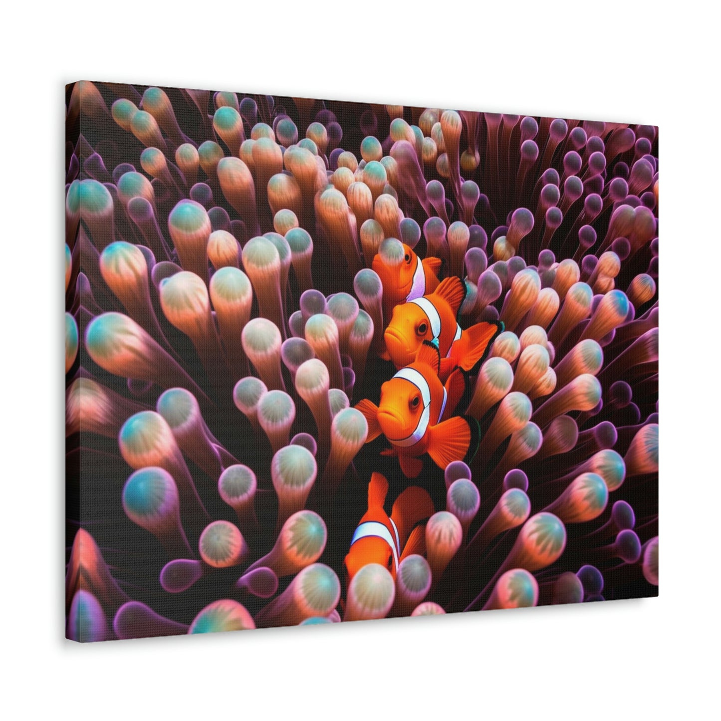 Canvas Gallery Wraps Clown Fish 3