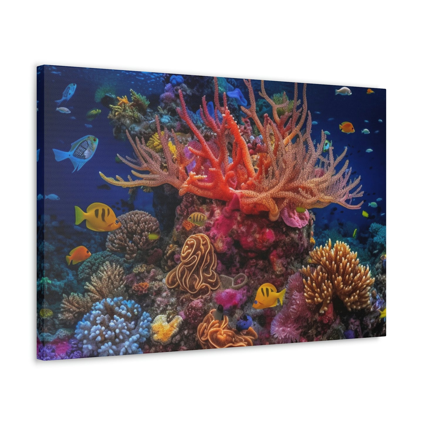 Color Coral Reef 2