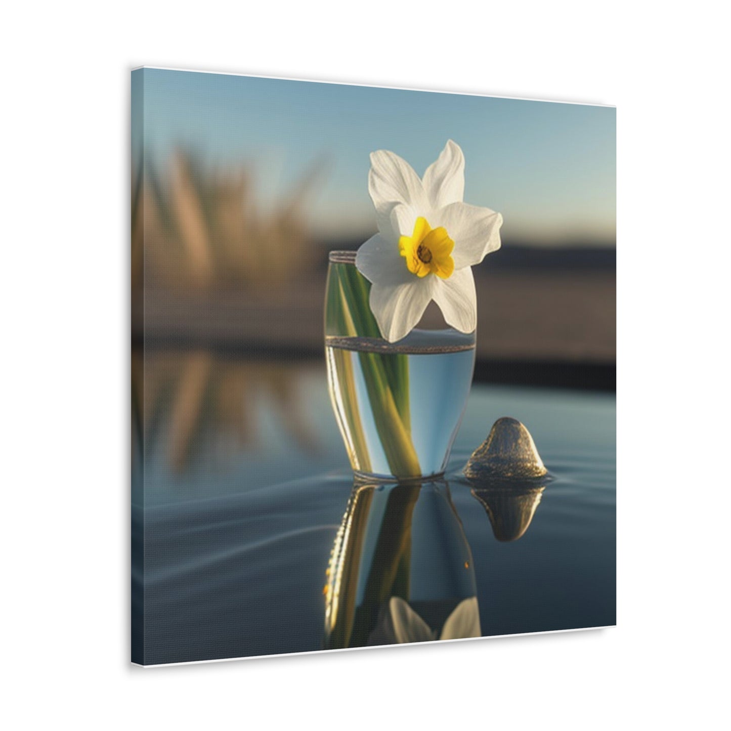 Canvas Gallery Wraps Daffodil 4