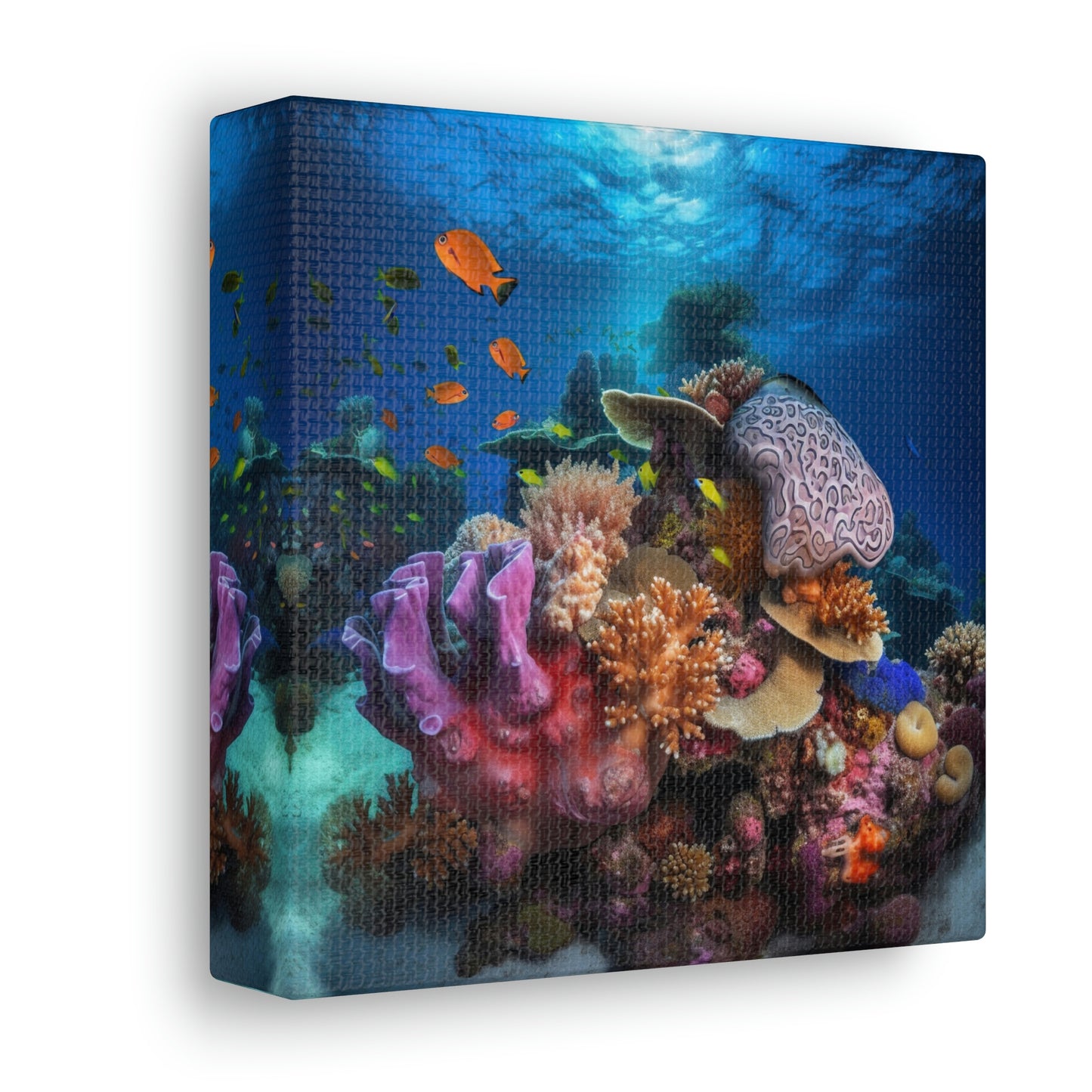 Coral Reef 2