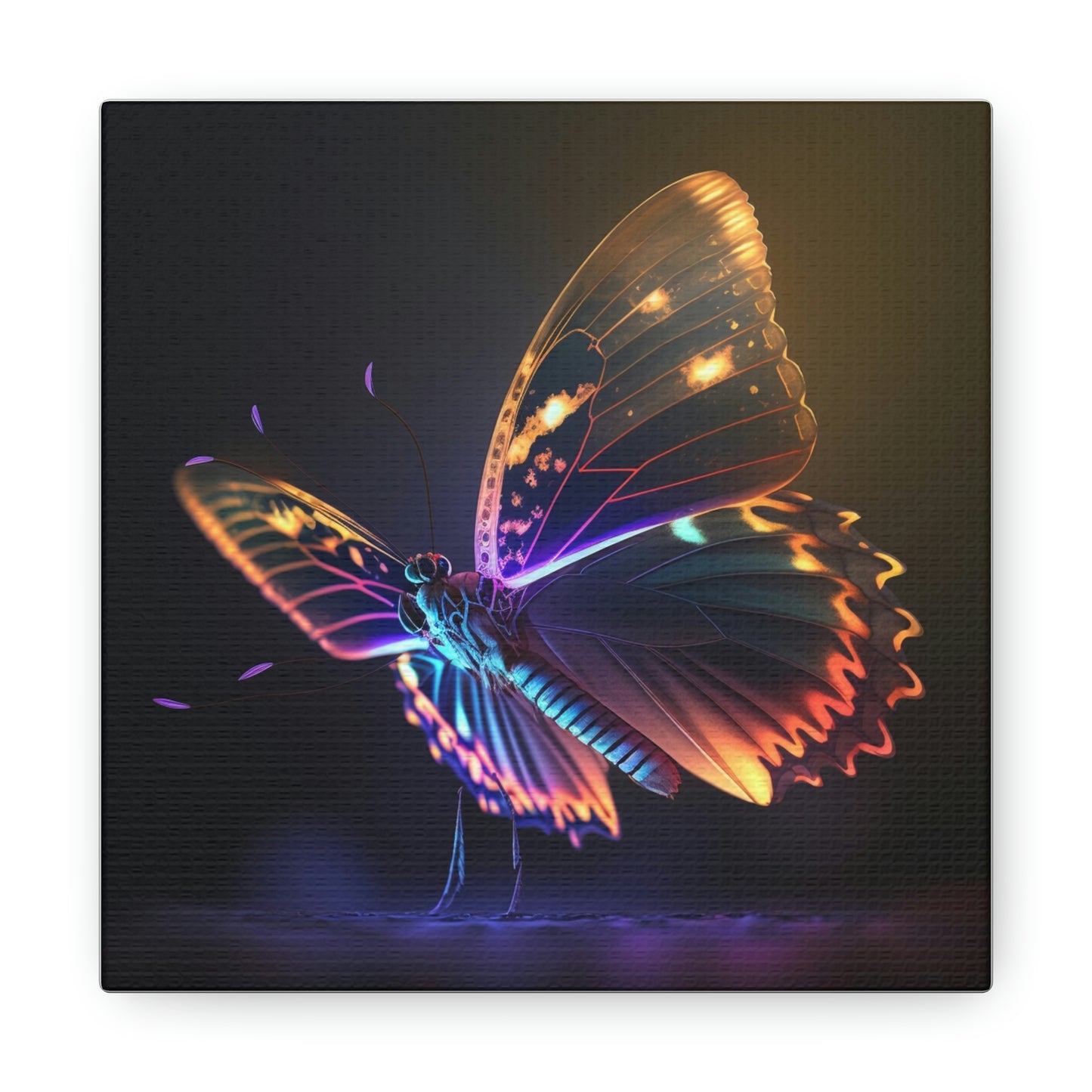 Butterfly neon glow