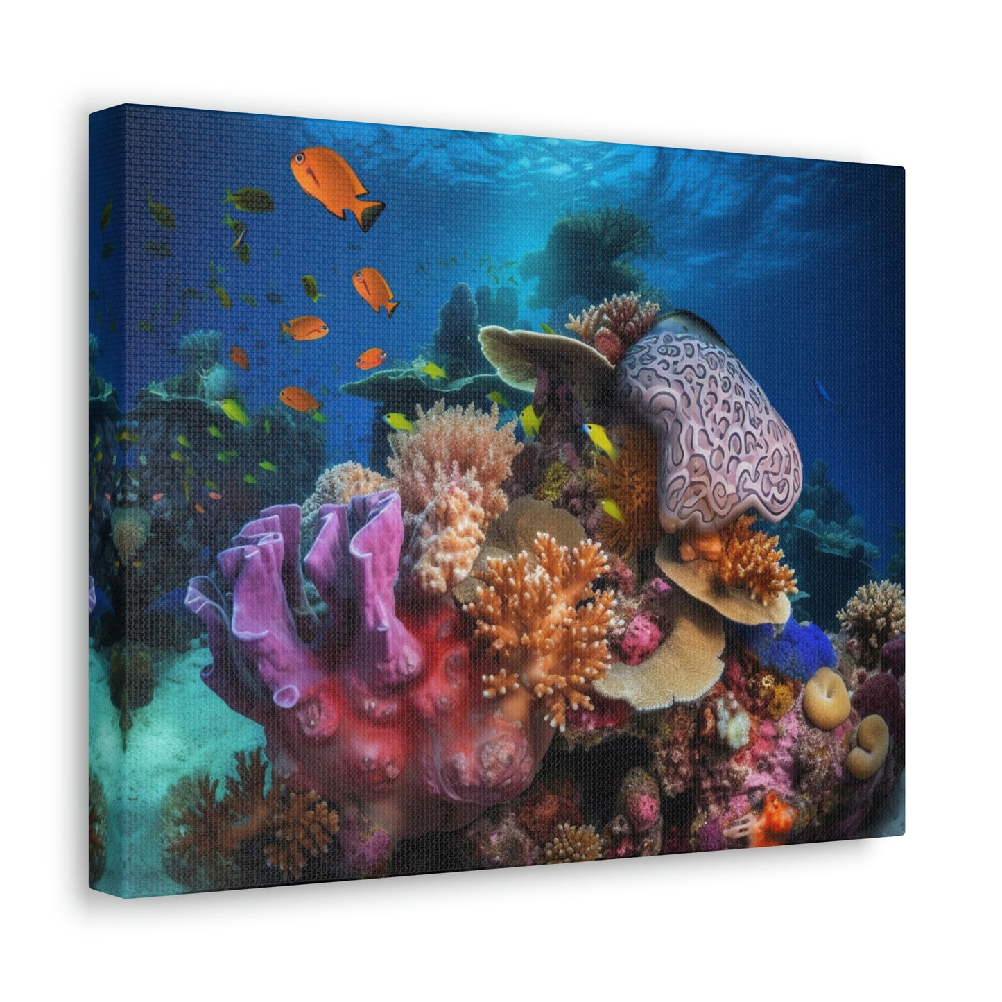 Coral Reef 2