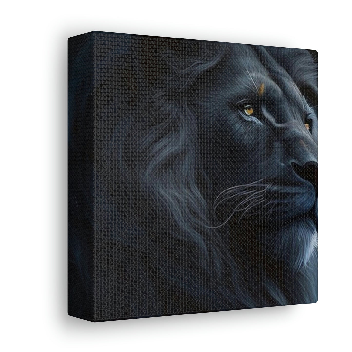 Lion Black 4