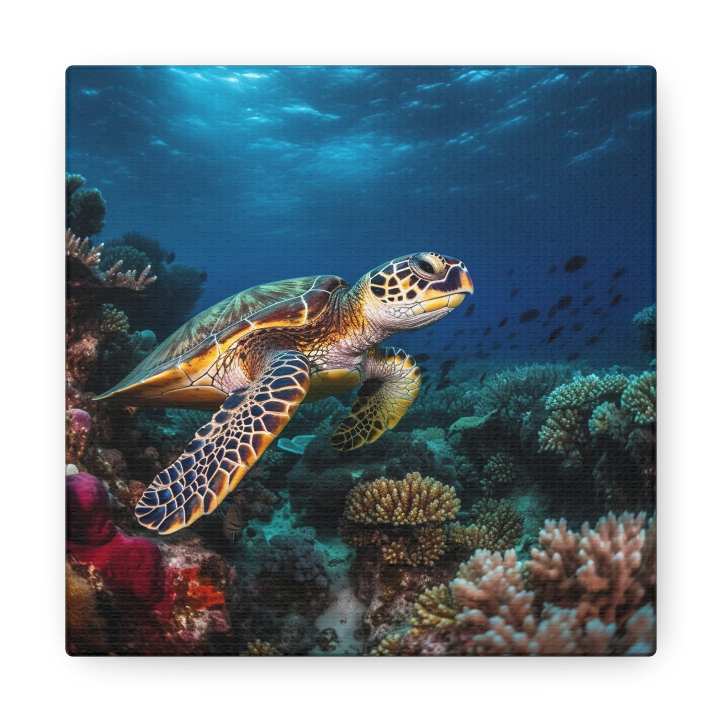 Sea Turtle Reef 1