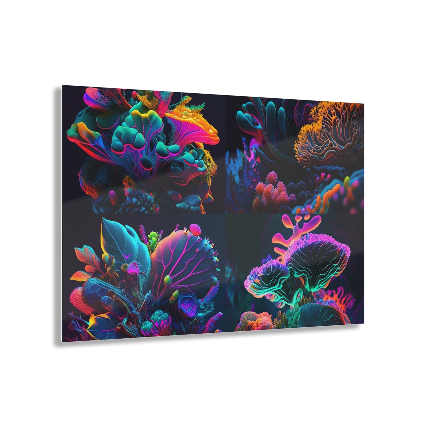 Acrylic Prints Macro Coral Reef 5