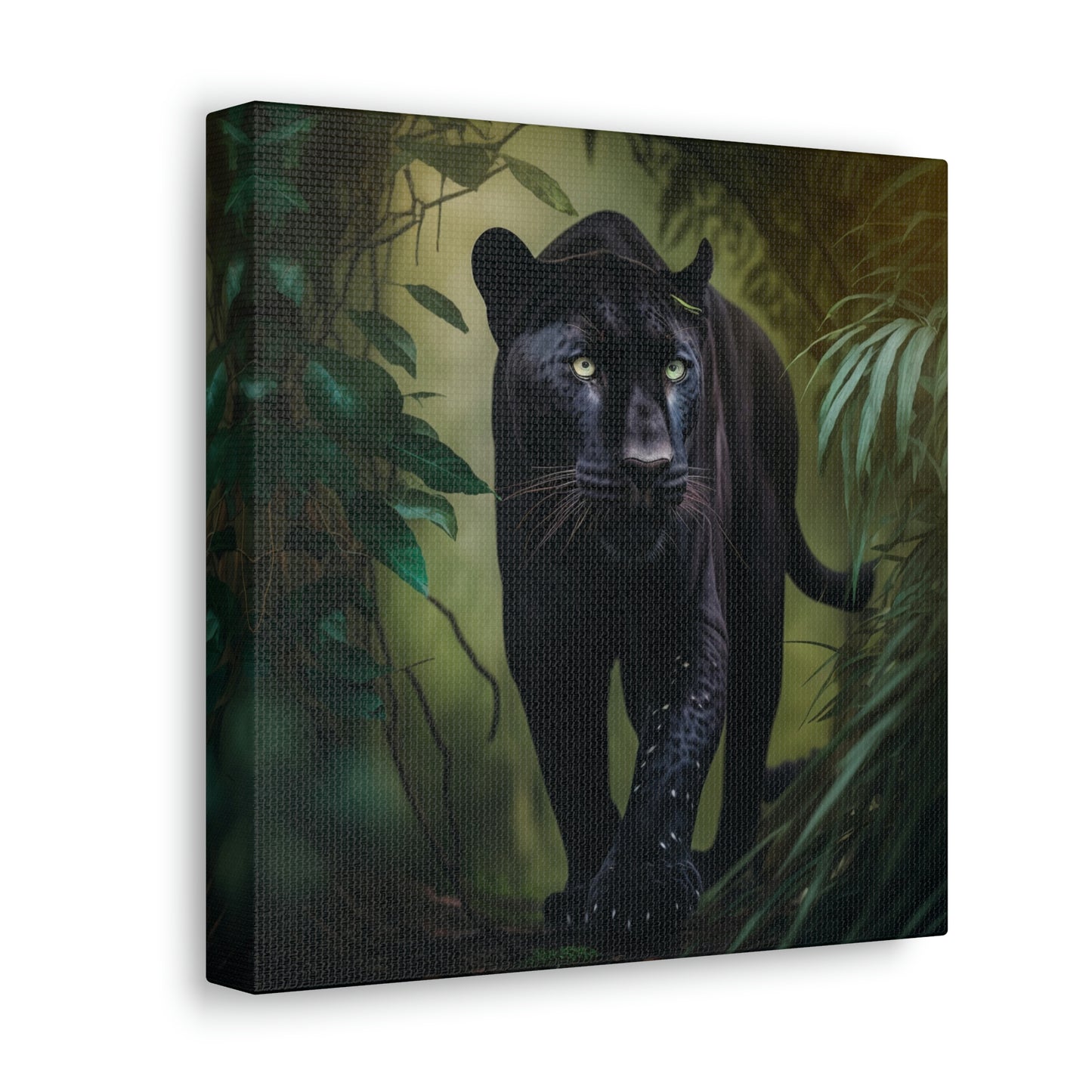 Black Panther in the Jungle 5