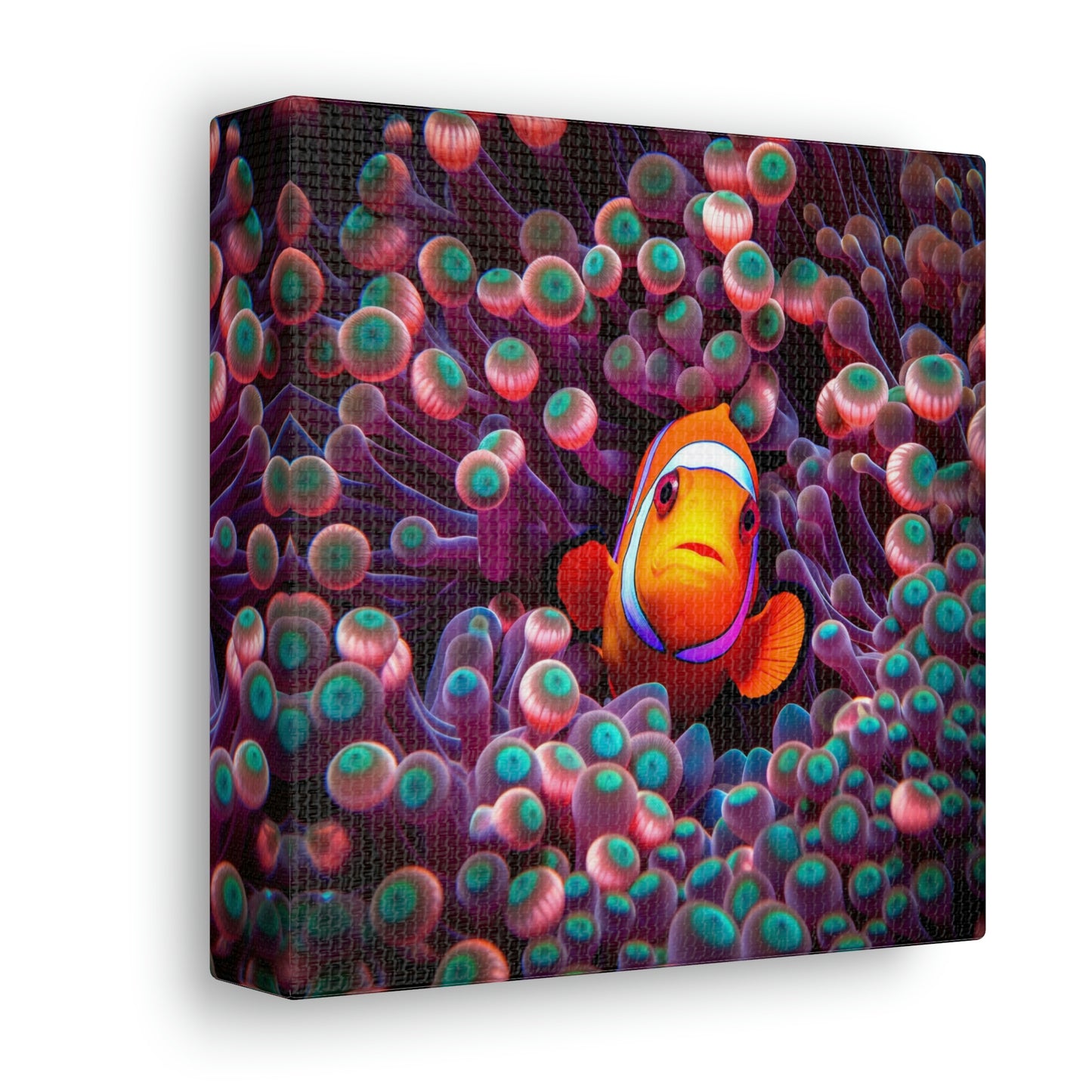 Canvas Gallery Wraps Clown Fish 4