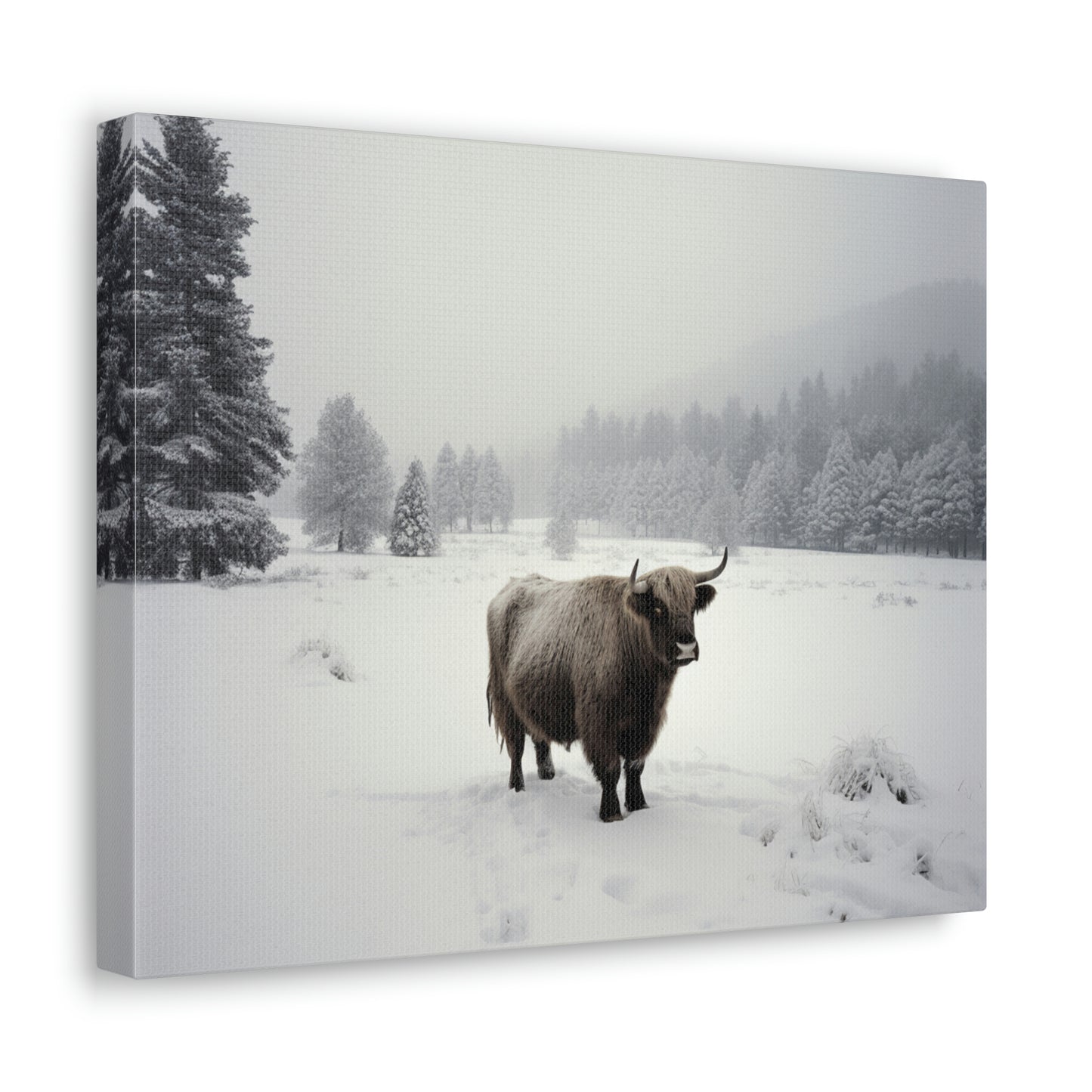 Canvas Gallery Wraps Cow Snow 4