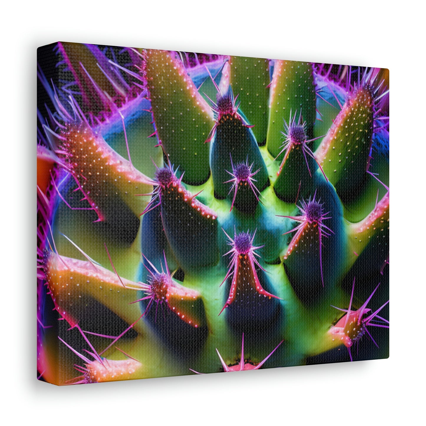 Macro Cactus 5