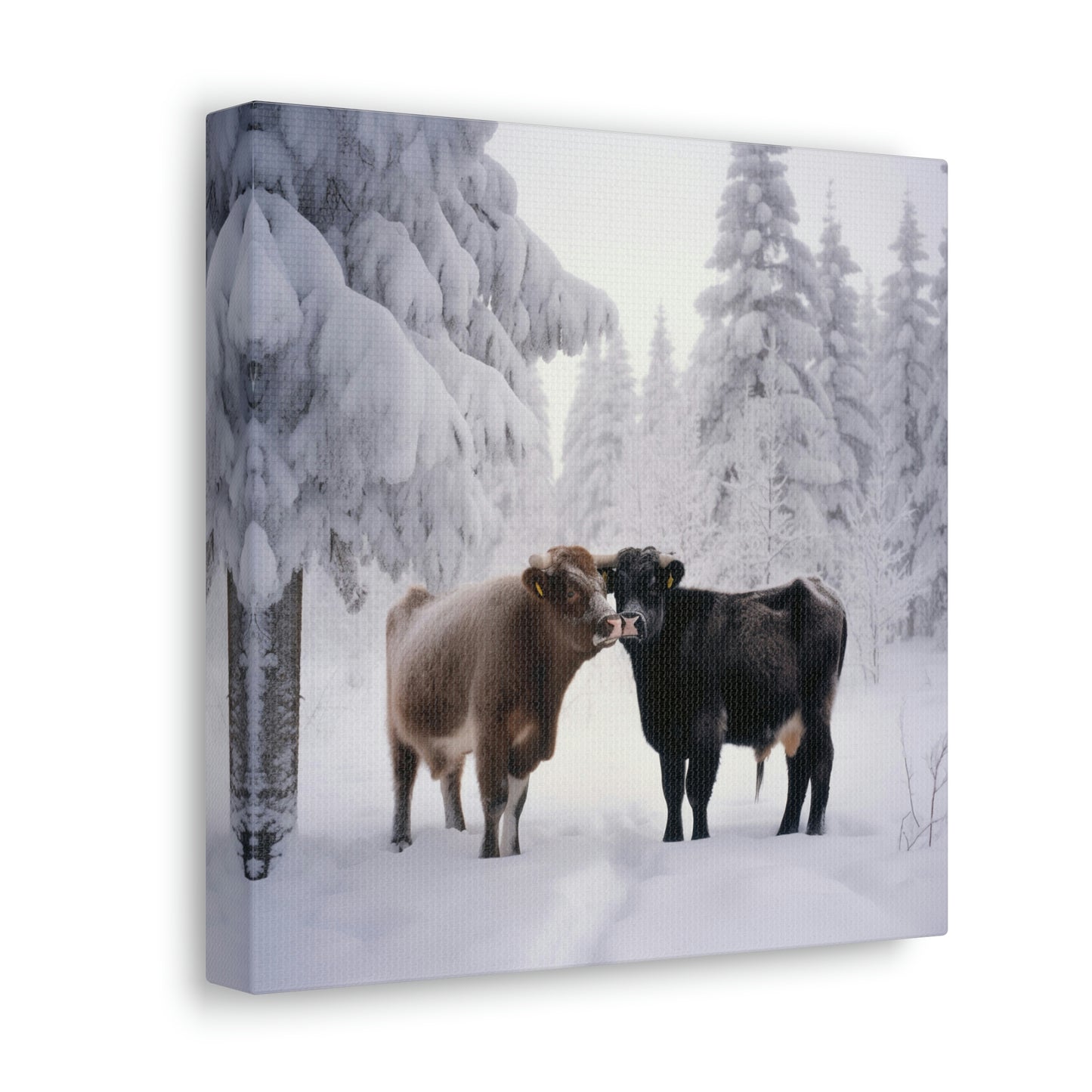 Canvas Gallery Wraps Long Haired Cow snow 3