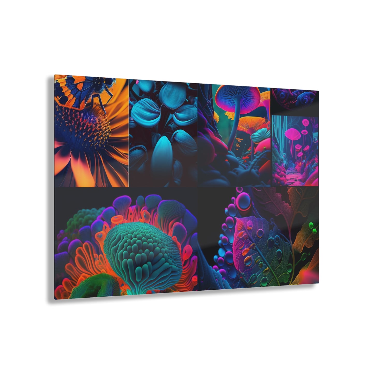 Acrylic Prints Macro Reef Florescent 5