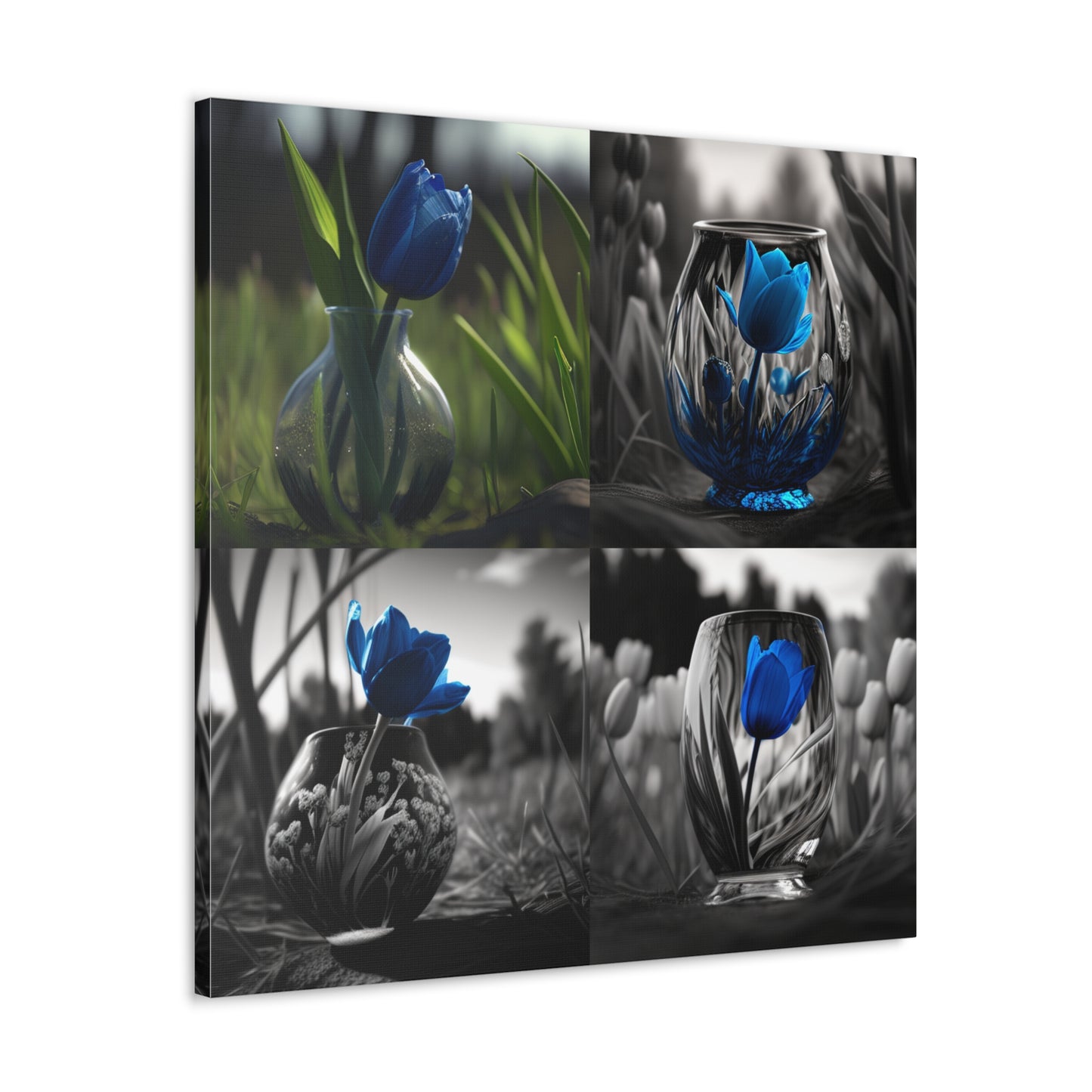 Tulip 4 Pack