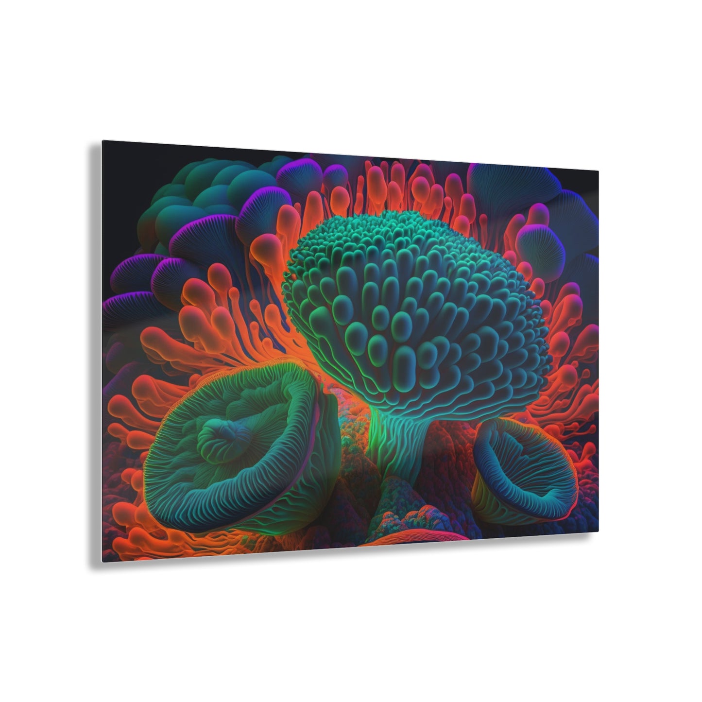 Acrylic Prints Macro Reef Florescent 3