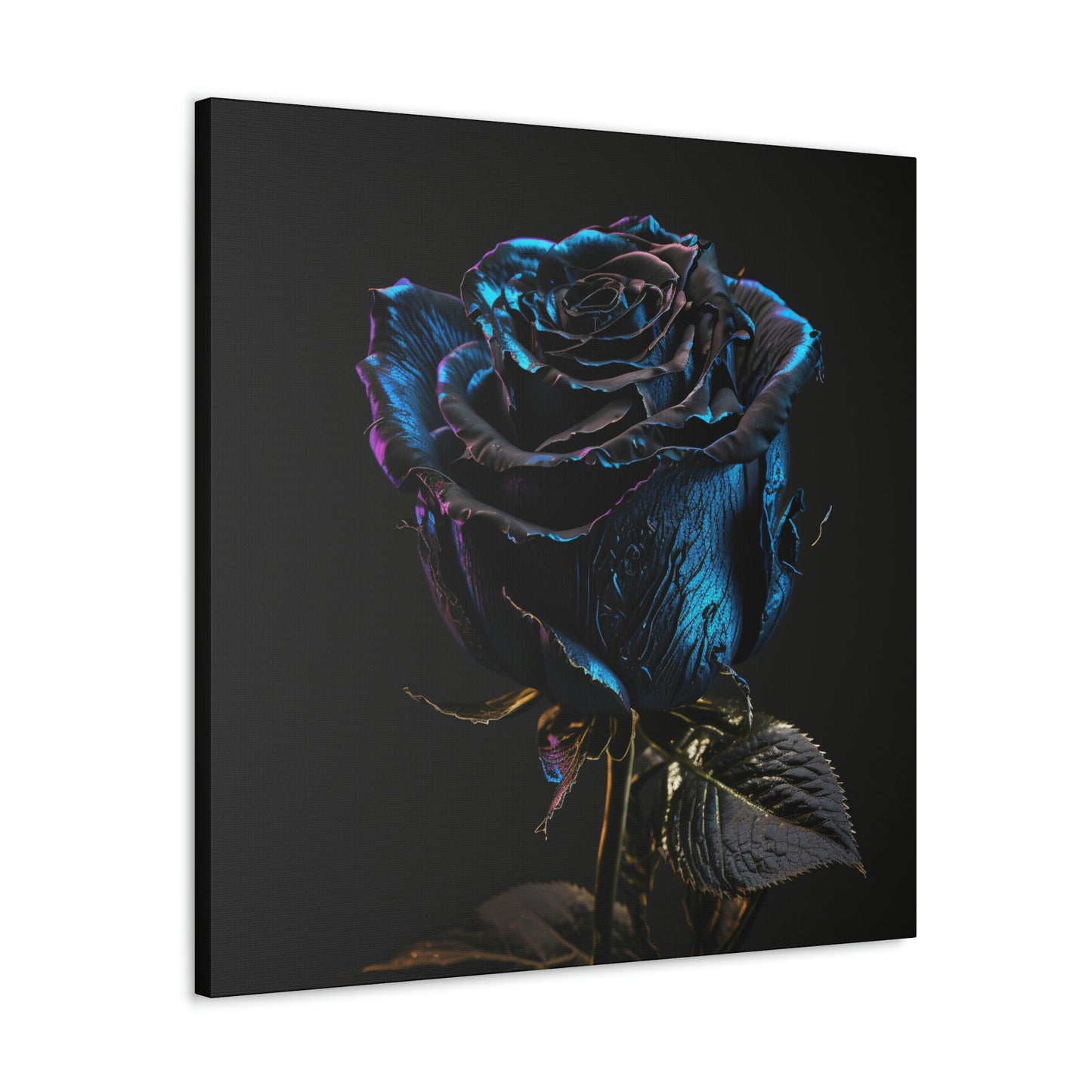 Black Blue Rose 1