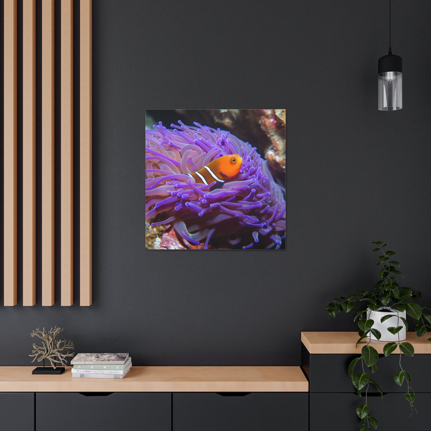 Canvas Gallery Wraps Anemone Clown 3