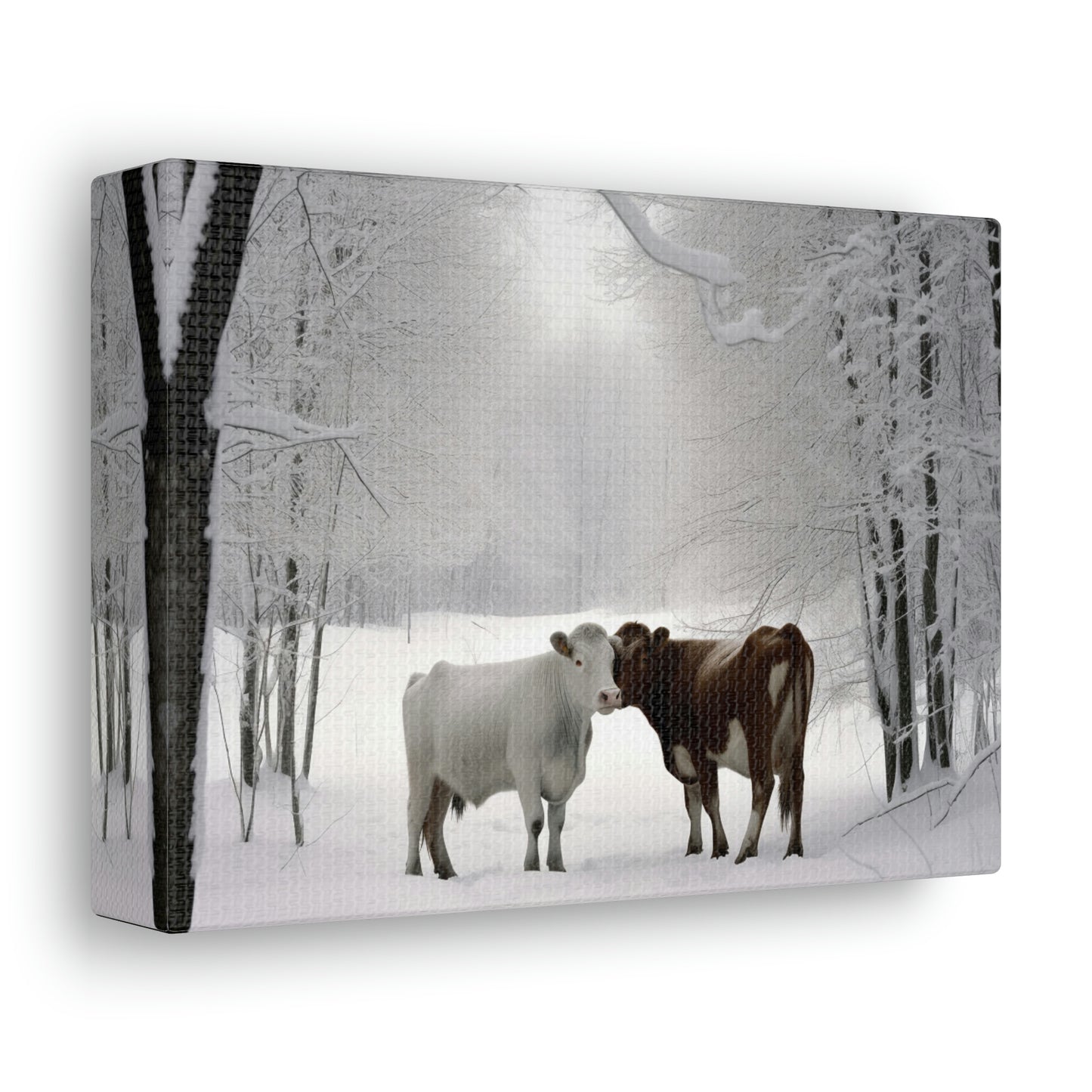 Canvas Gallery Wraps Long Haired Cow snow 4