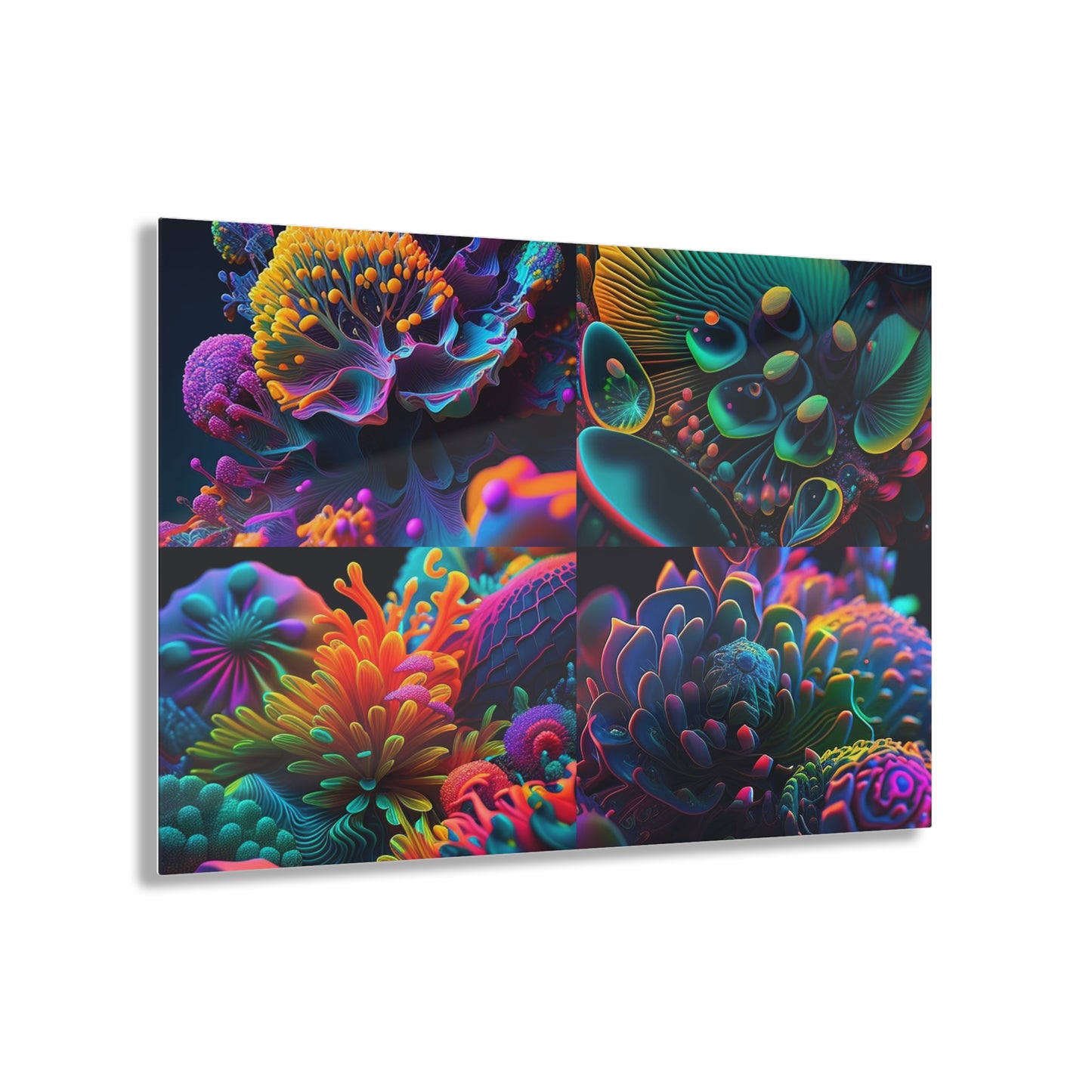 Acrylic Prints Ocean Life Macro 5