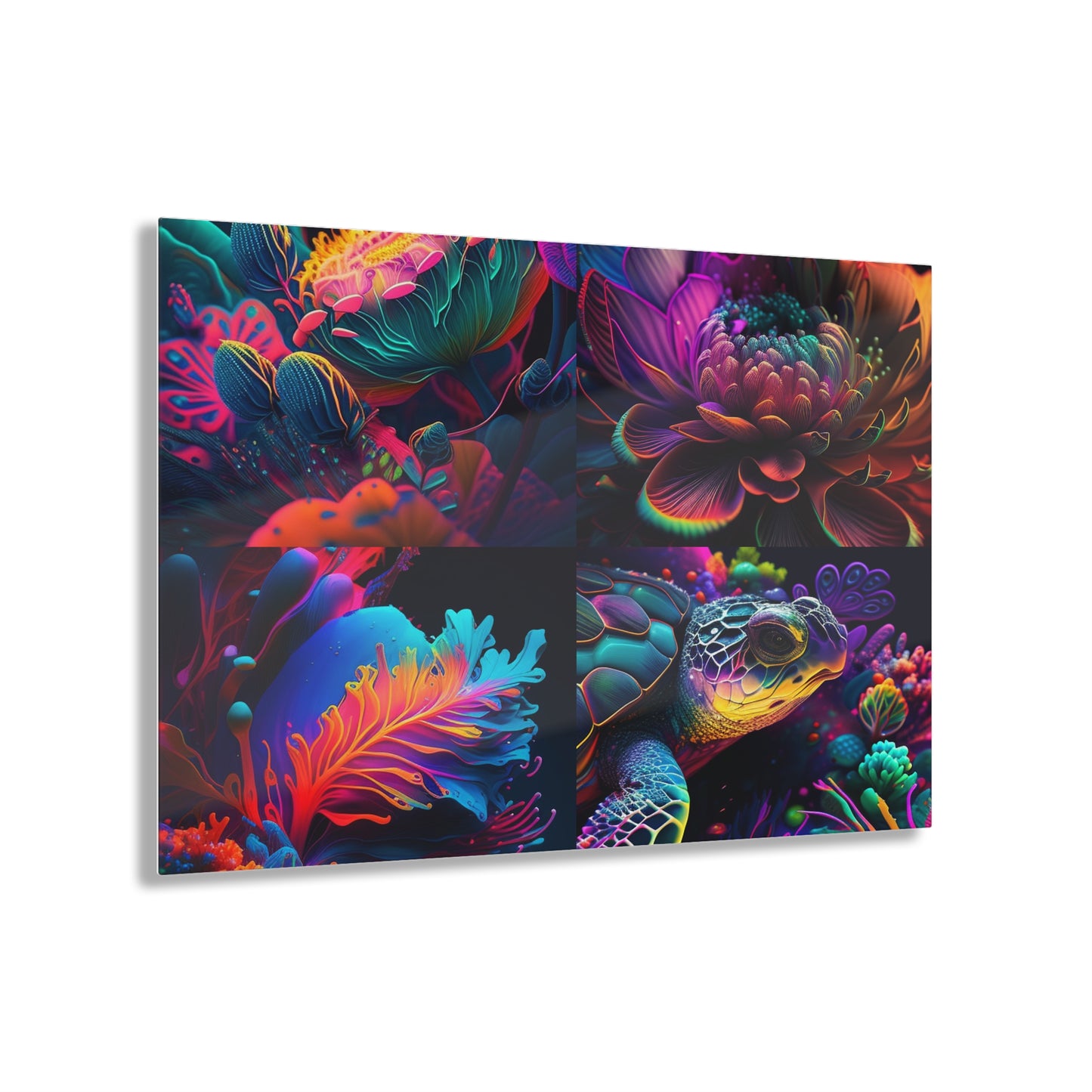 Acrylic Prints Macro Sea Life