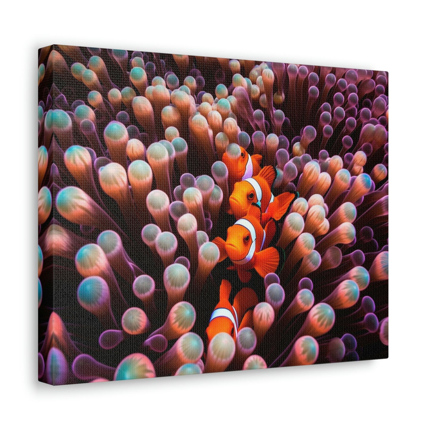 Canvas Gallery Wraps Clown Fish 3