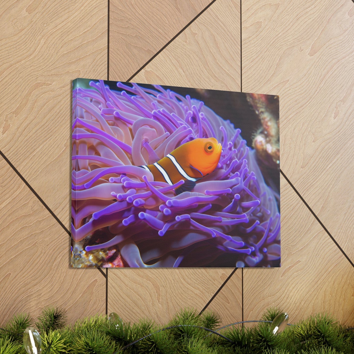 Canvas Gallery Wraps Anemone Clown 3