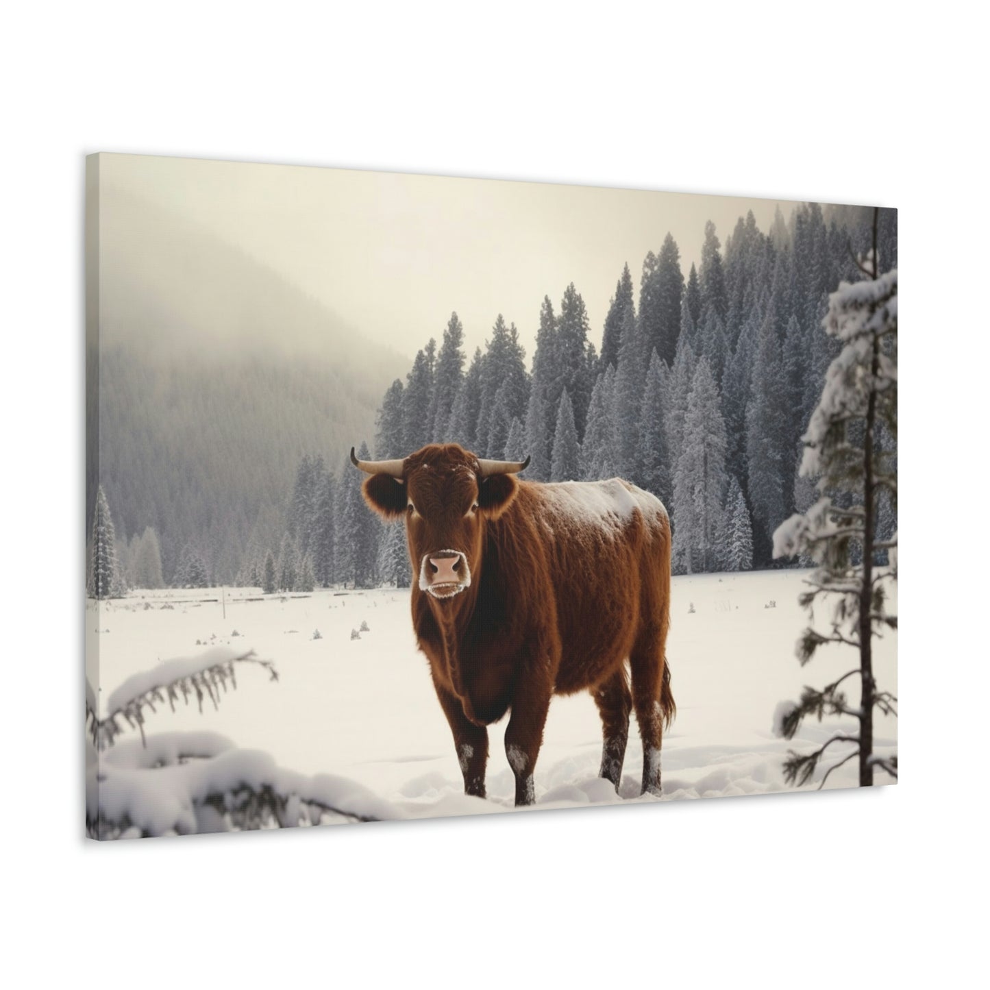 Canvas Gallery Wraps Cow Snow 3