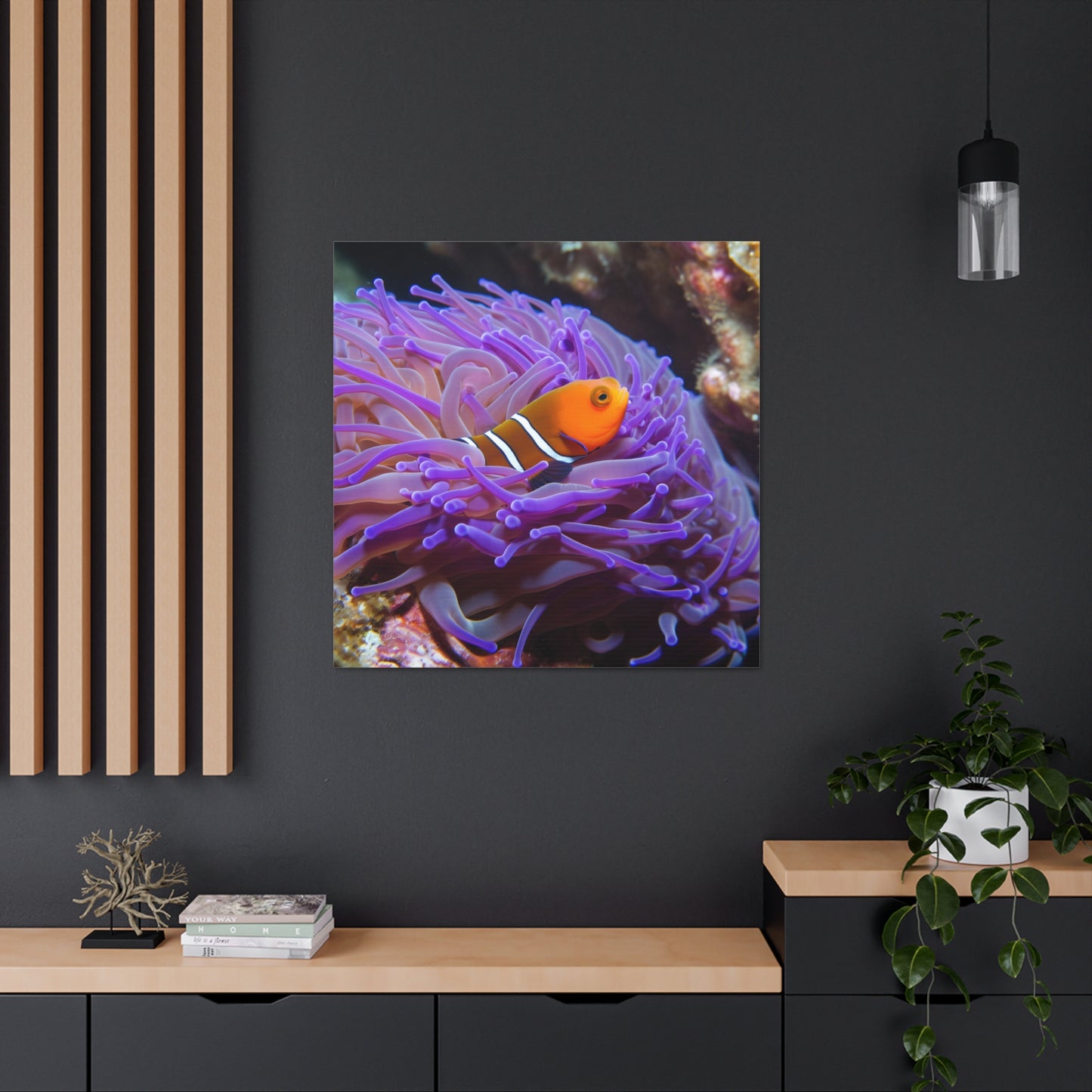 Canvas Gallery Wraps Anemone Clown 3