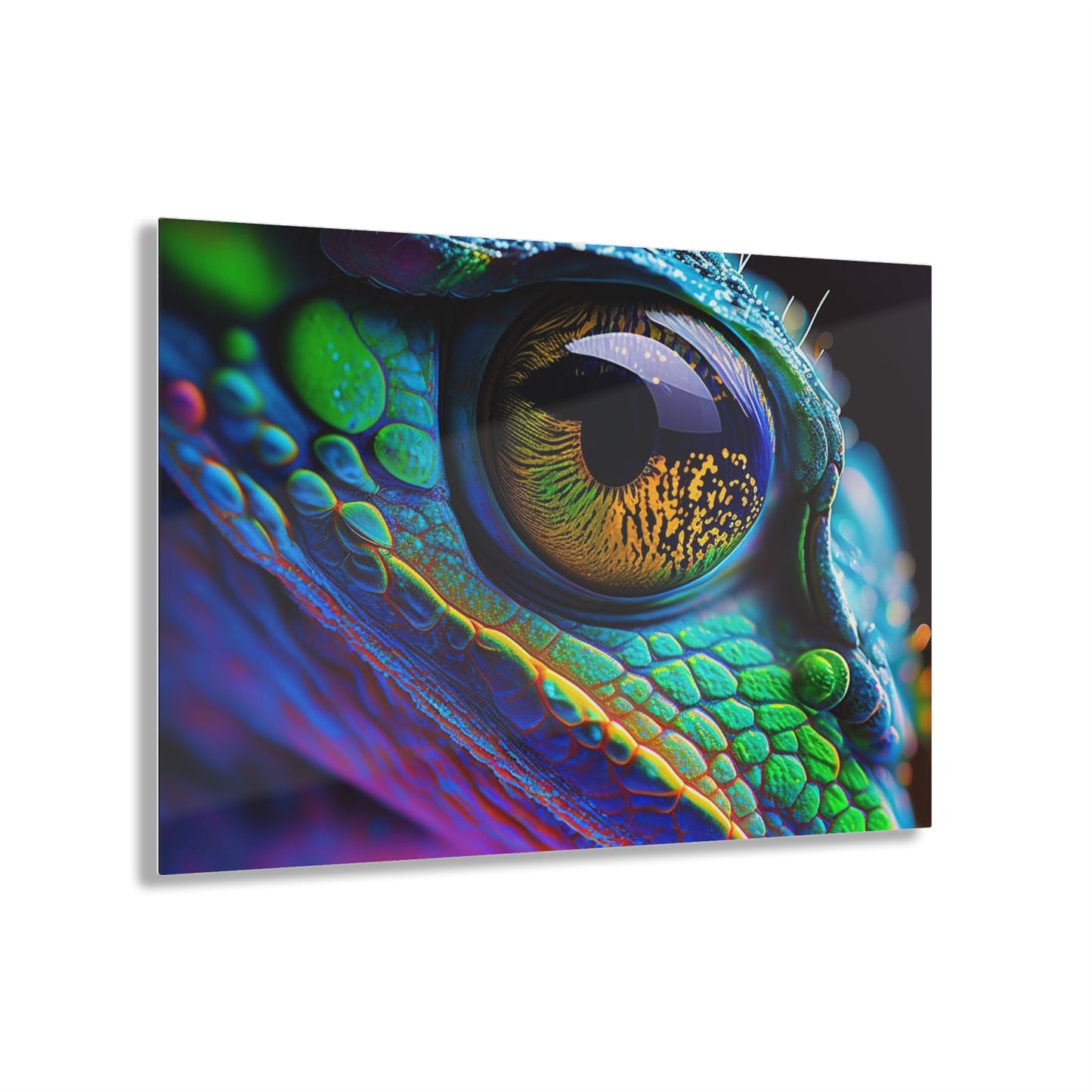 Acrylic Prints Macro Eye Photo 4