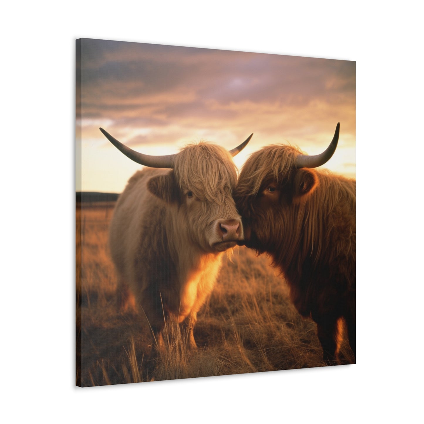 Canvas Gallery Wraps Cow Love 1