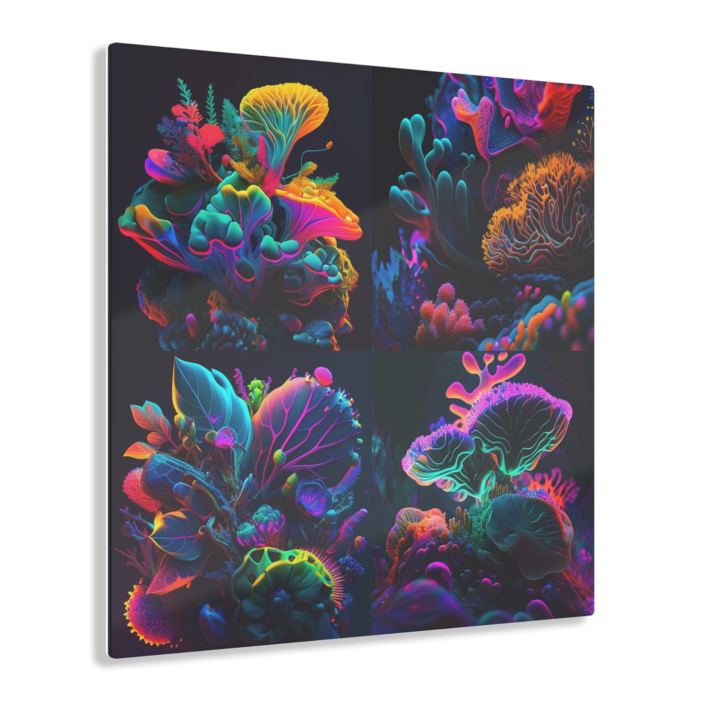 Acrylic Prints Macro Coral Reef 5