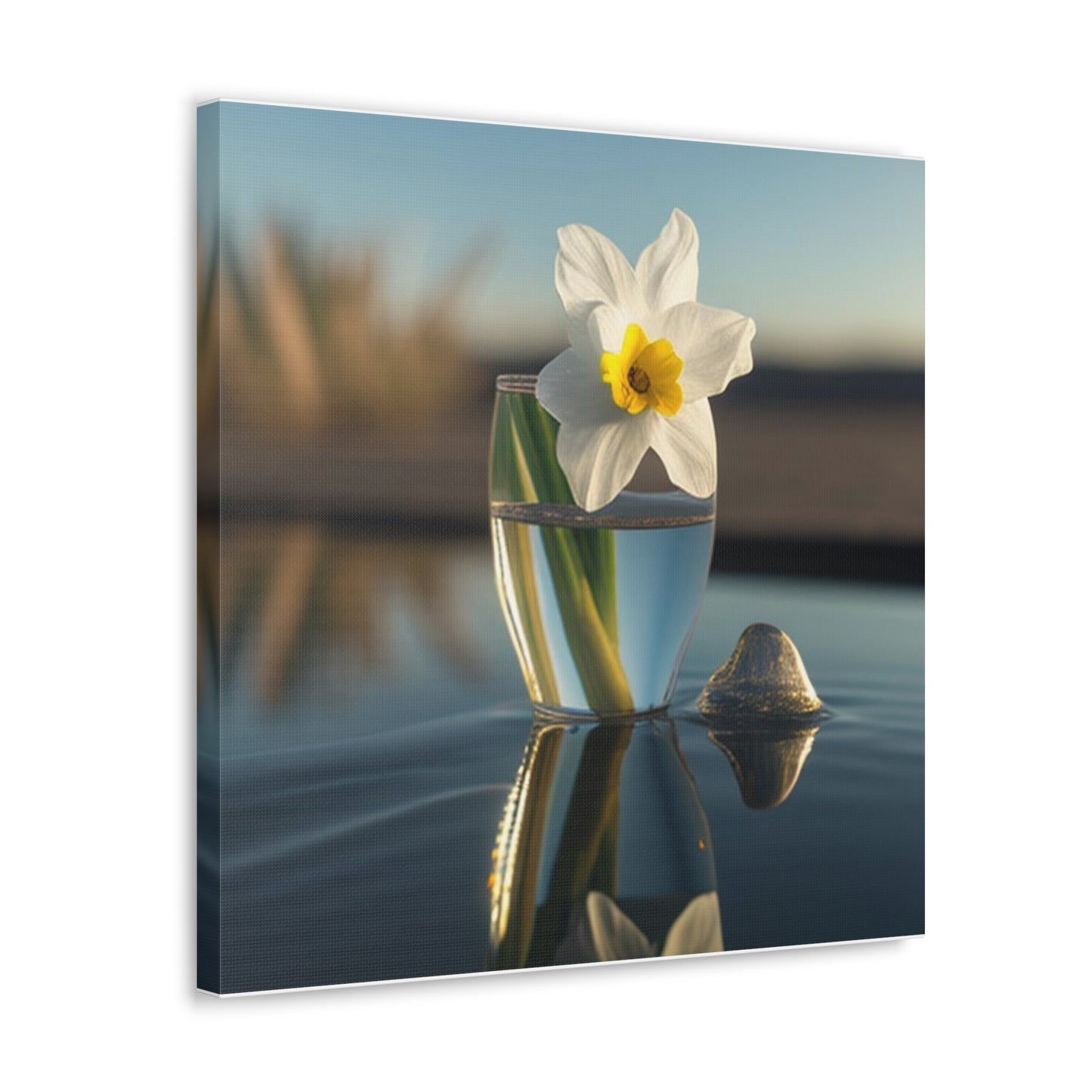 Canvas Gallery Wraps Daffodil 4