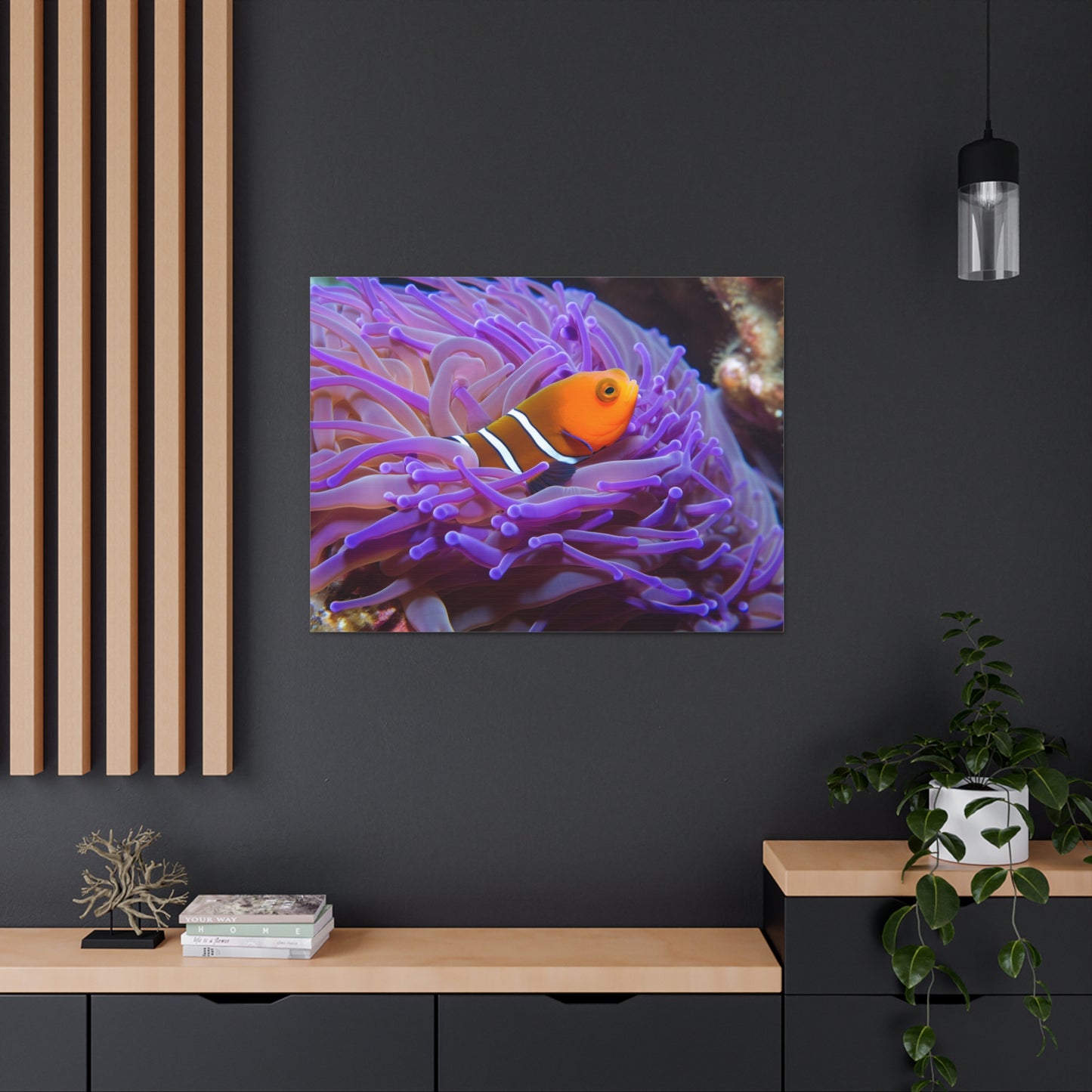 Canvas Gallery Wraps Anemone Clown 3