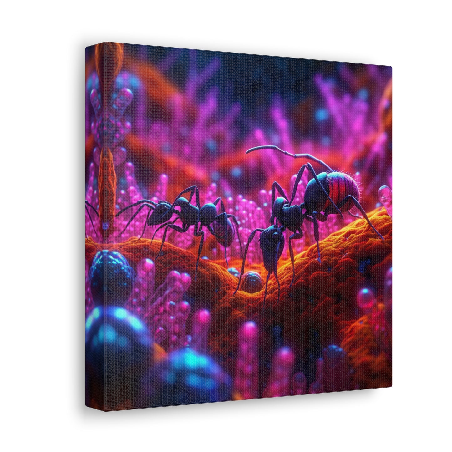 Canvas Gallery Wraps Ants Home 4